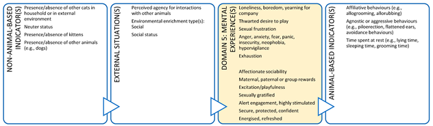 Animals 11 03504 i010 Animals 11 03504 i010