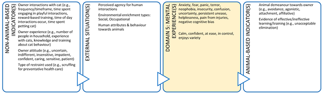 Animals 11 03504 i011