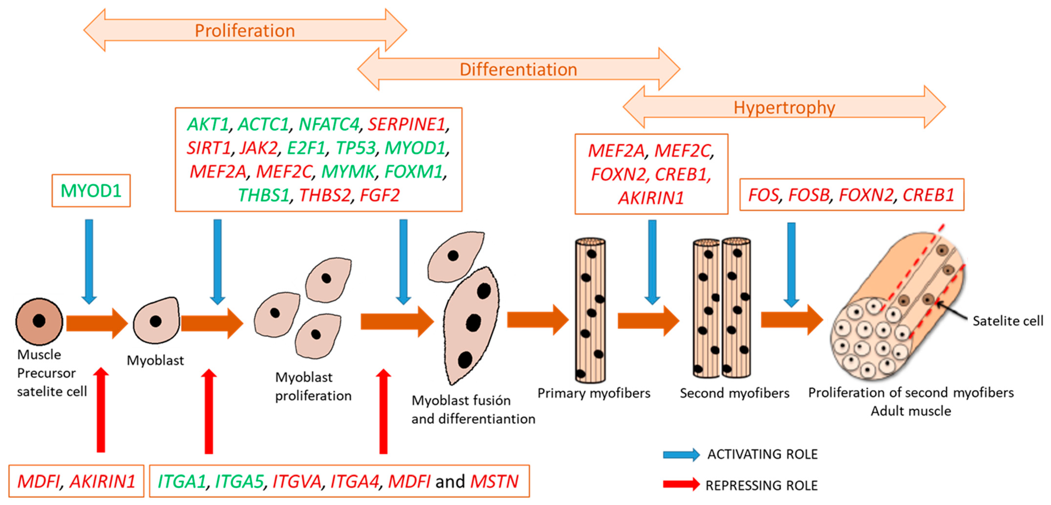 Animals 11 03505 g002