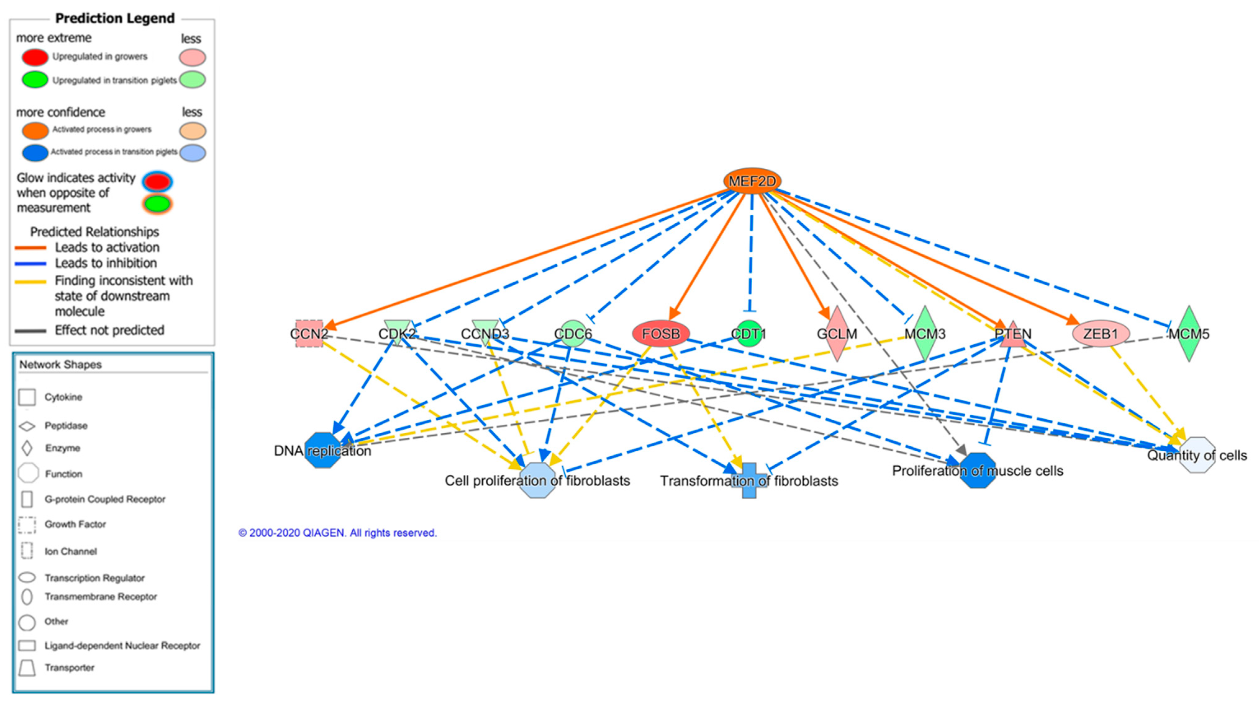 Animals 11 03505 g004