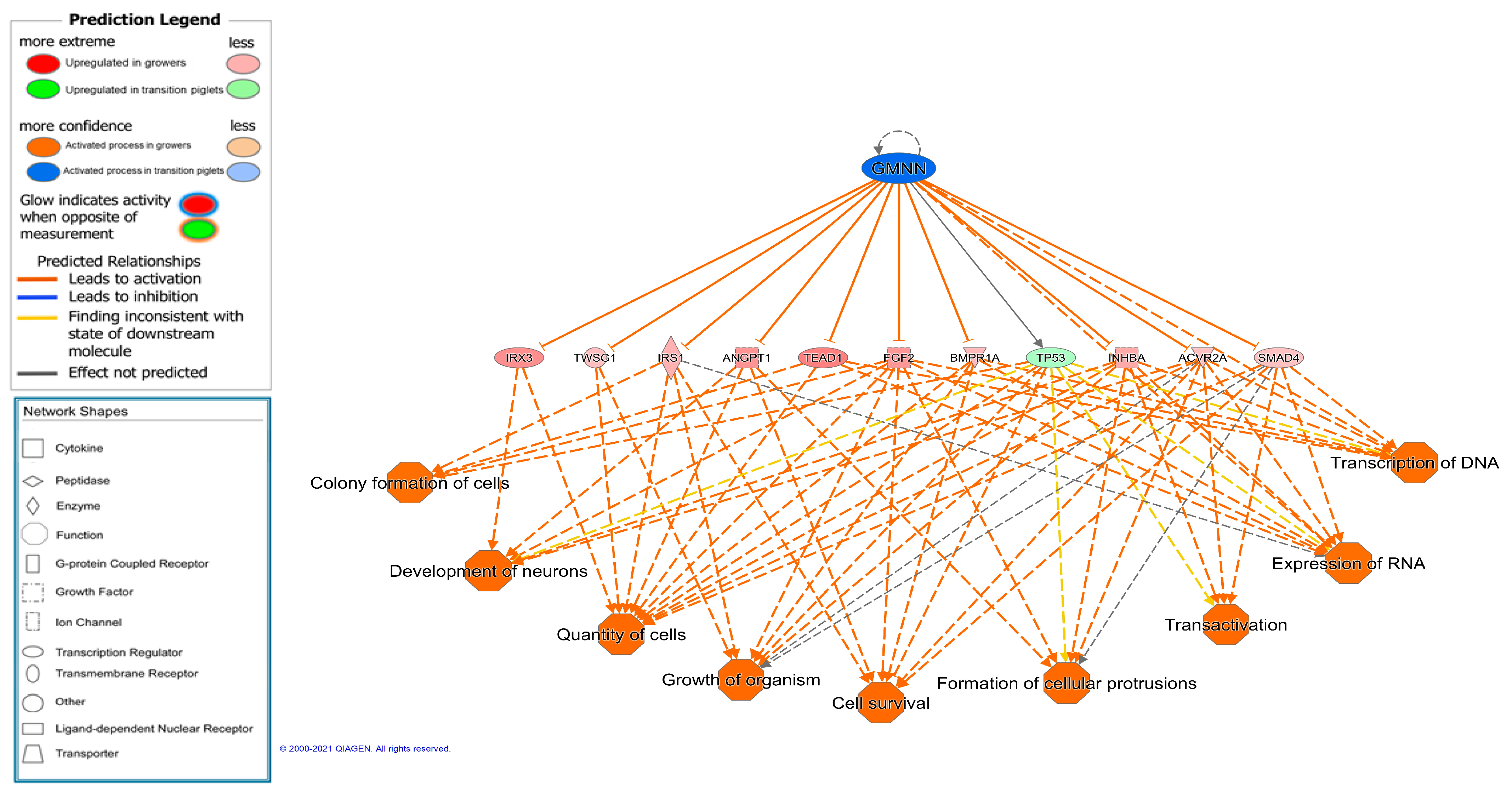 Animals 11 03505 g005