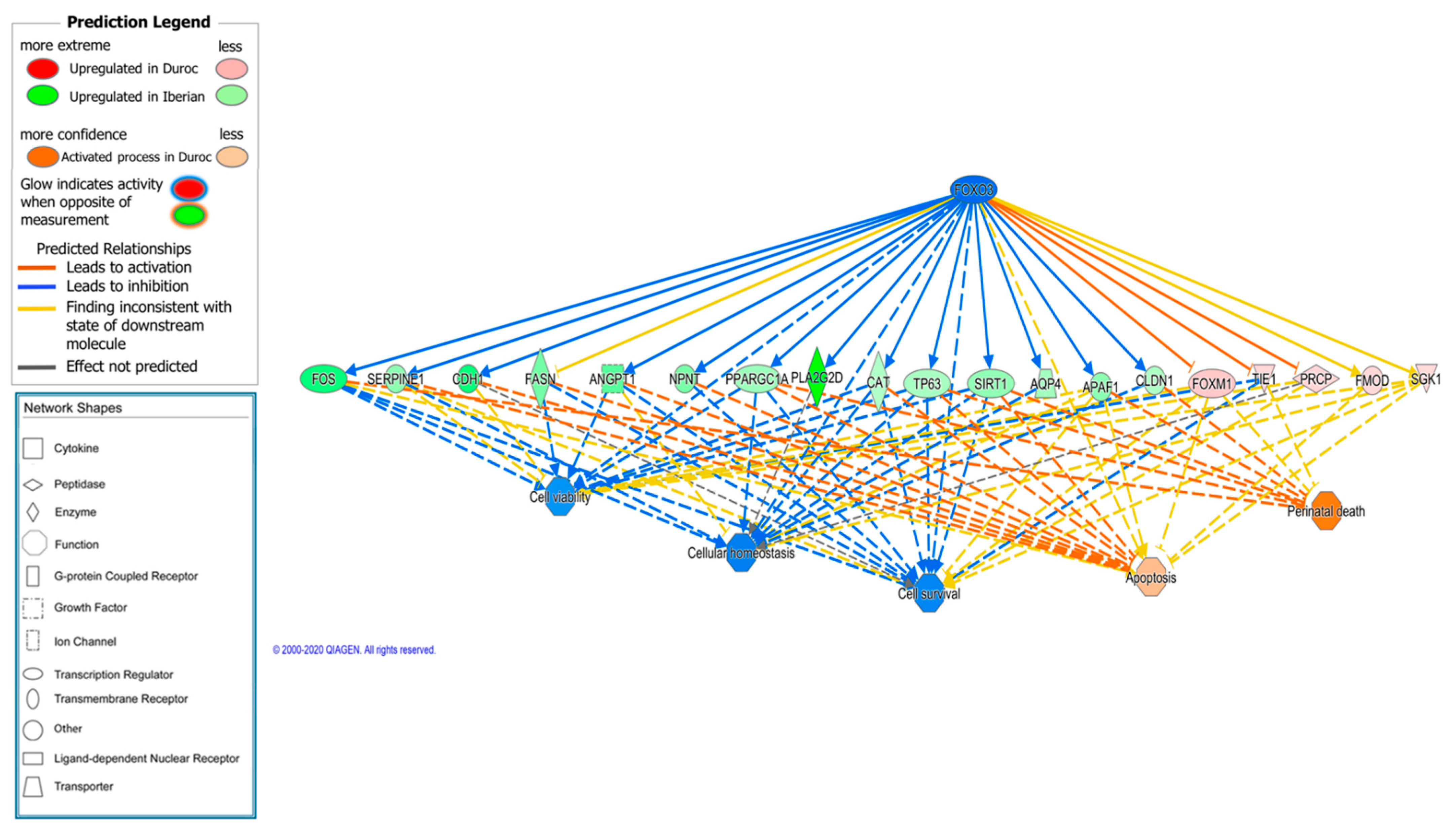 Animals 11 03505 g007