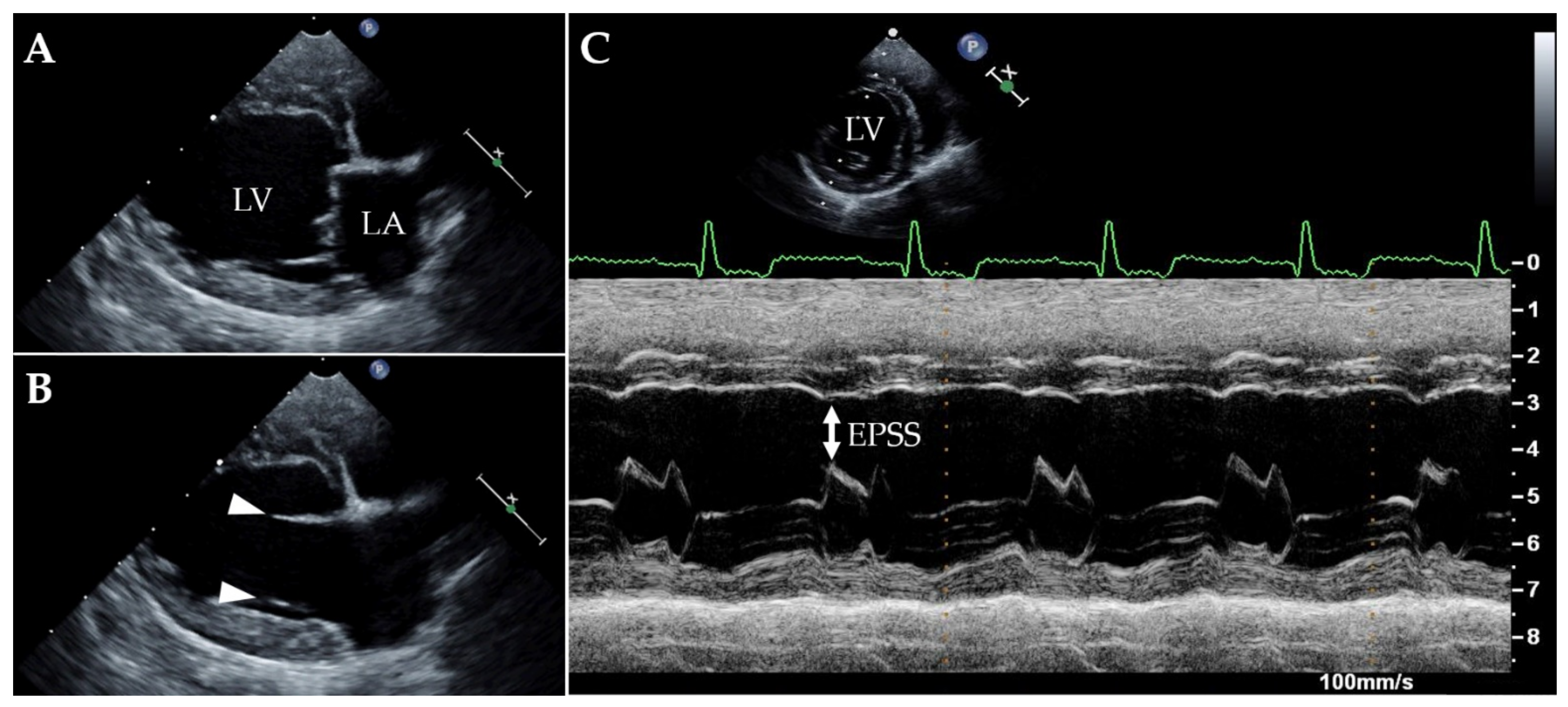 Animals 11 03506 g003