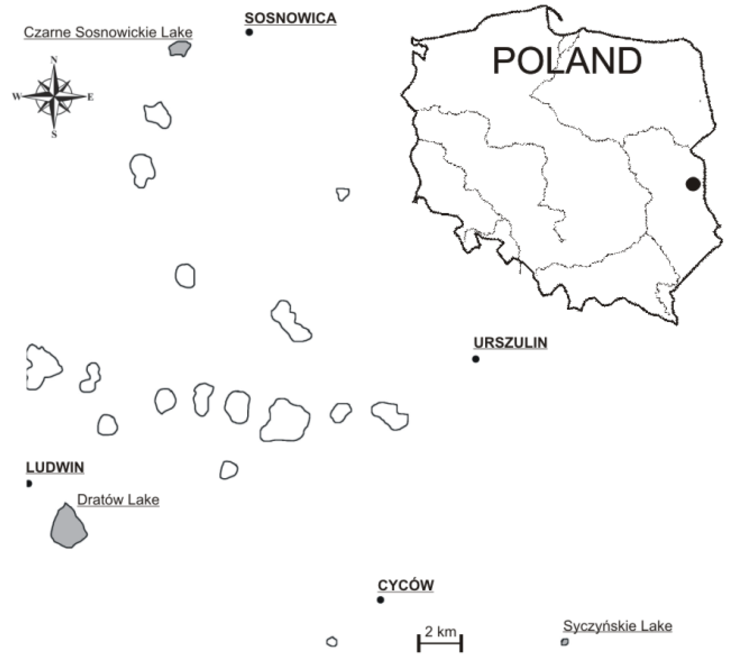 Animals 11 03507 g001