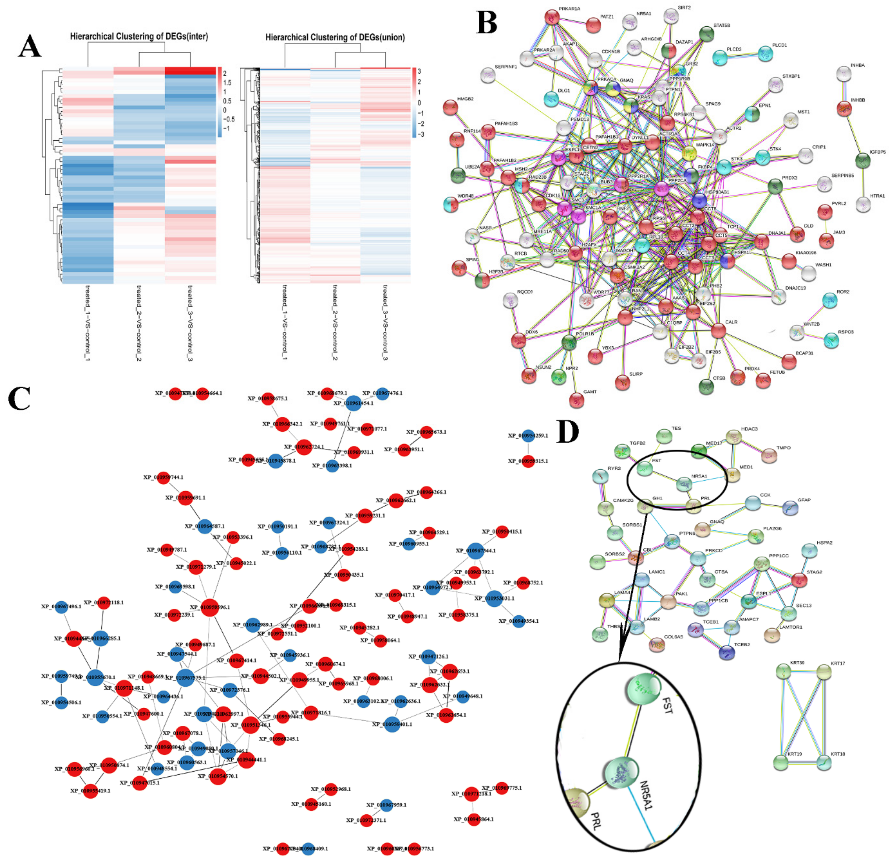 Animals 11 03512 g003