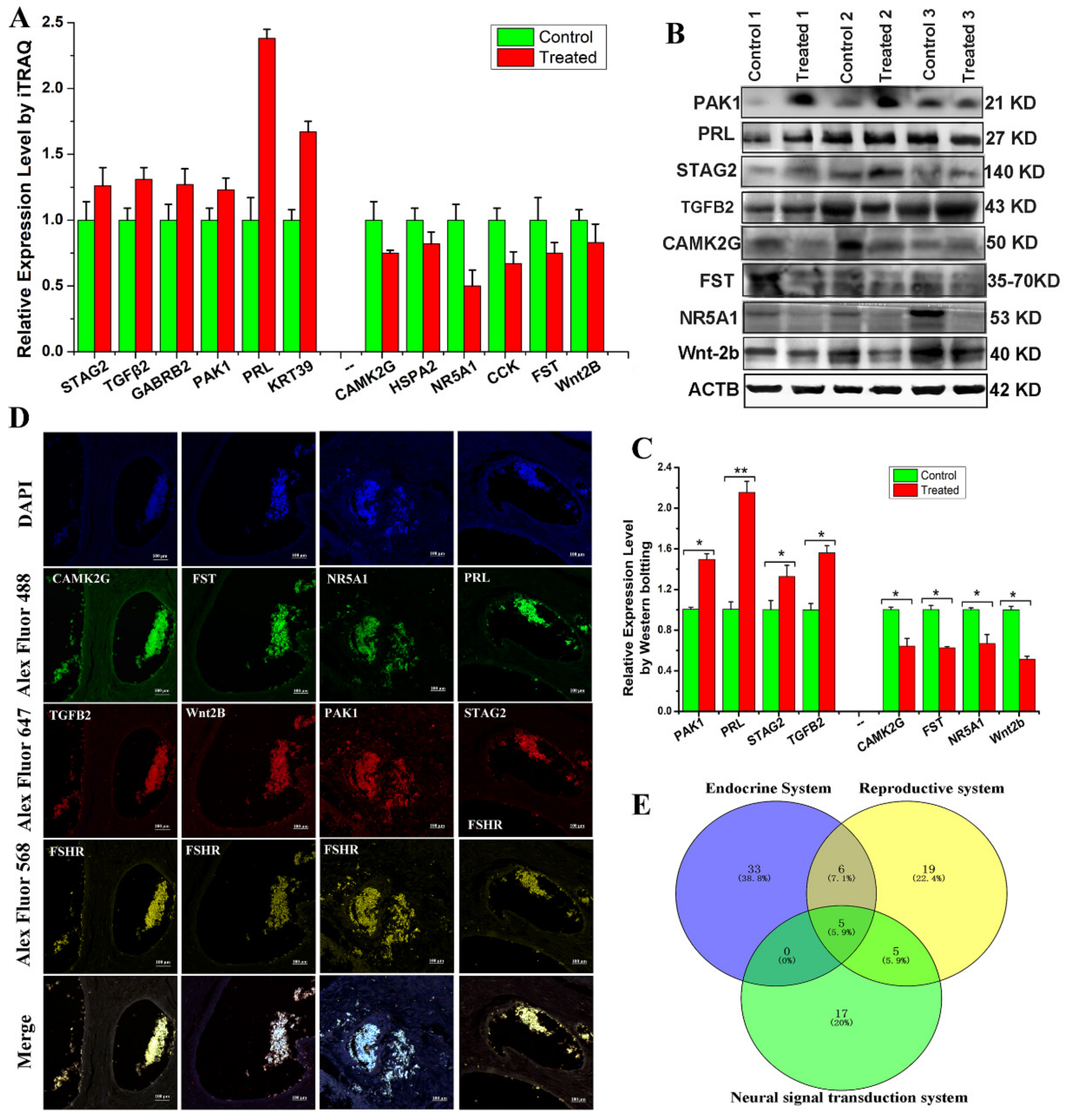 Animals 11 03512 g004
