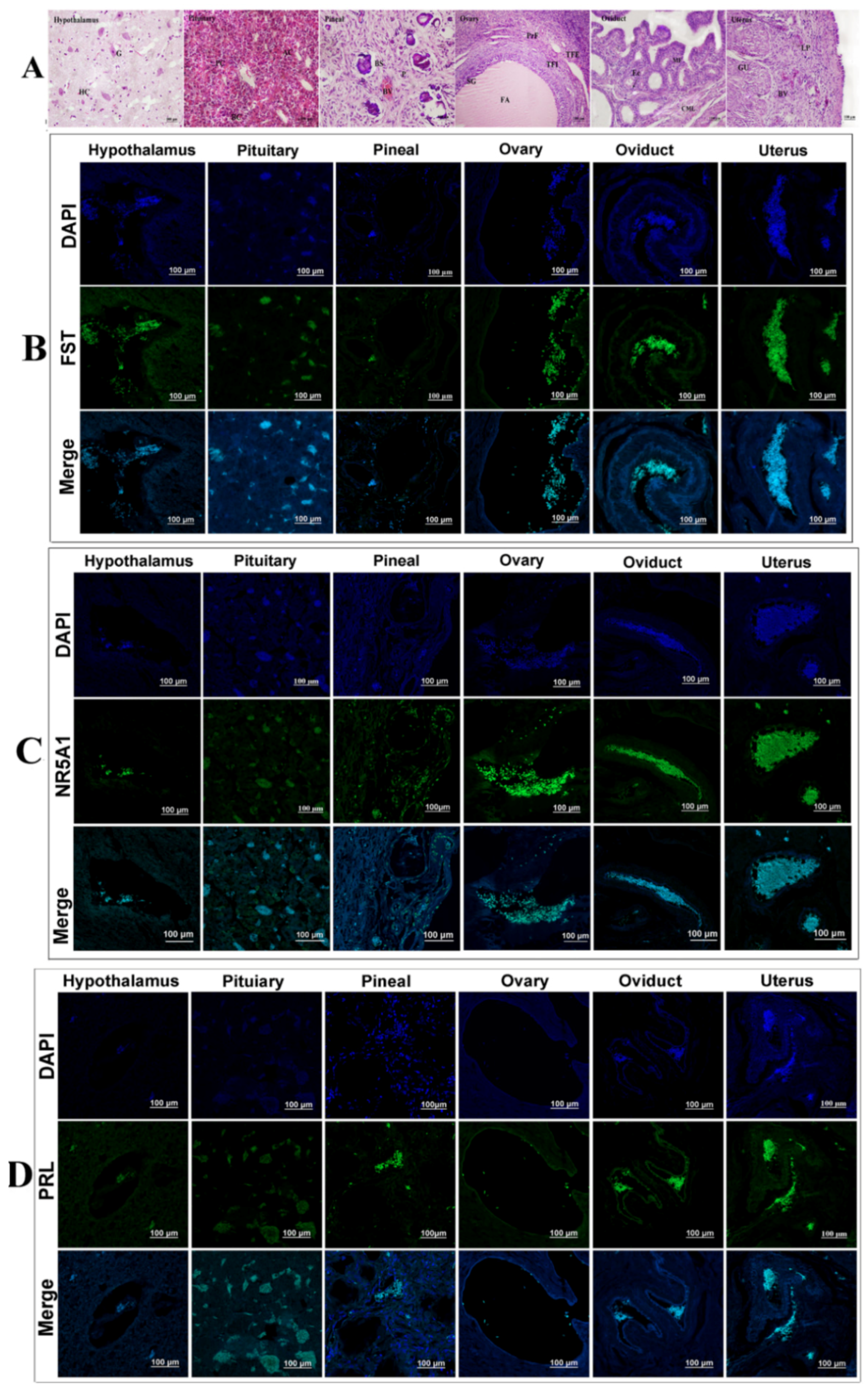 Animals 11 03512 g006
