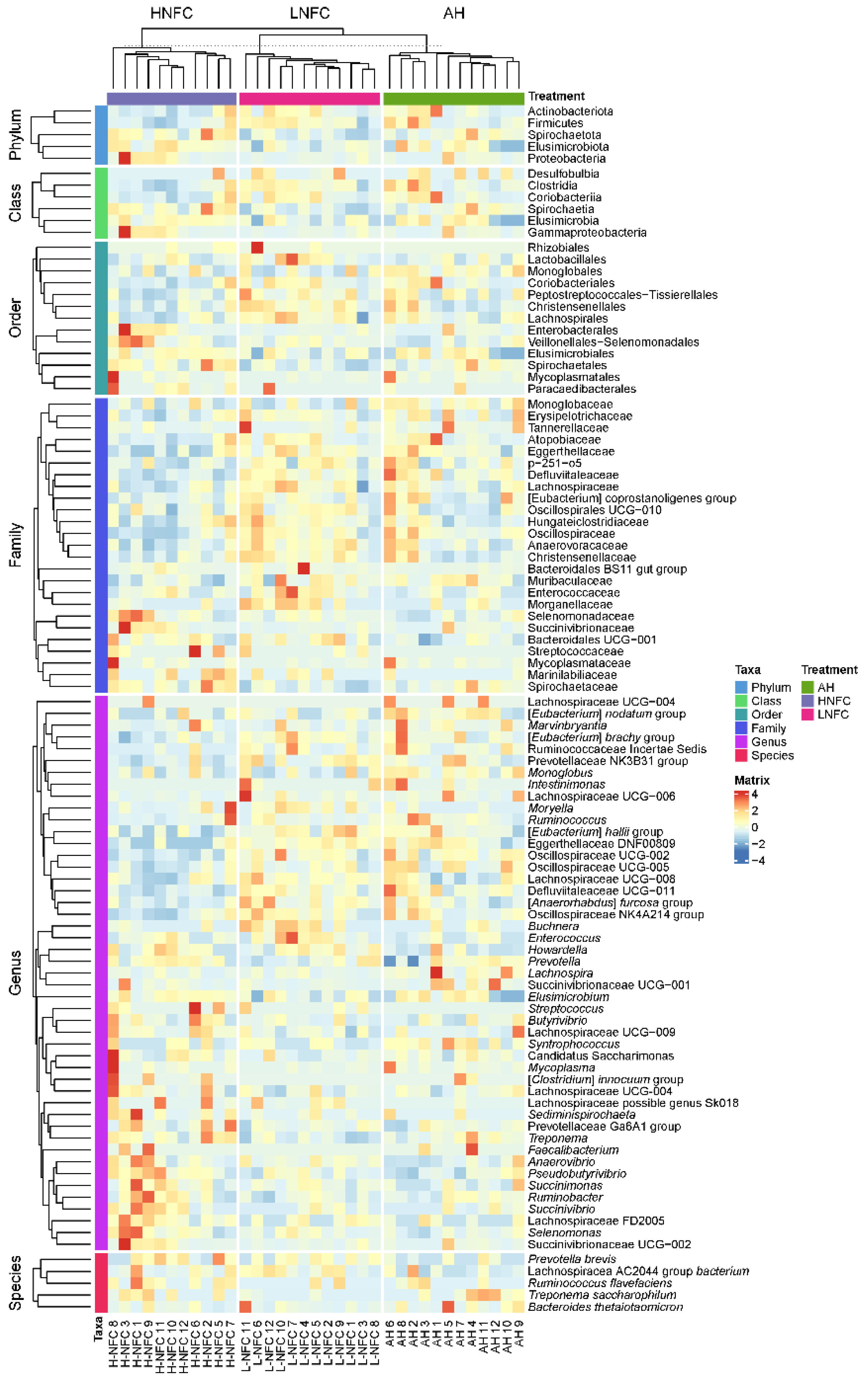 Animals 11 03519 g002