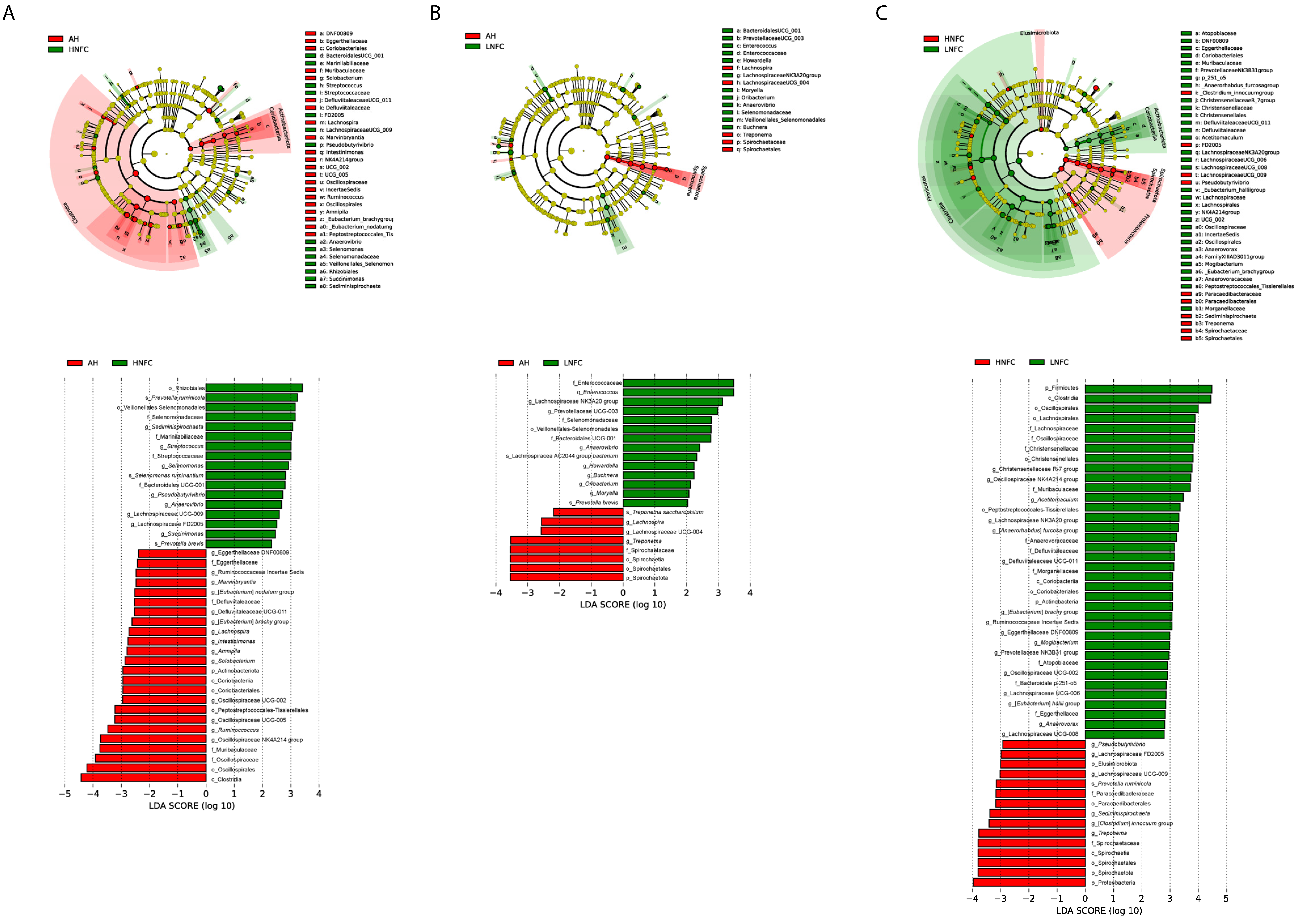 Animals 11 03519 g003