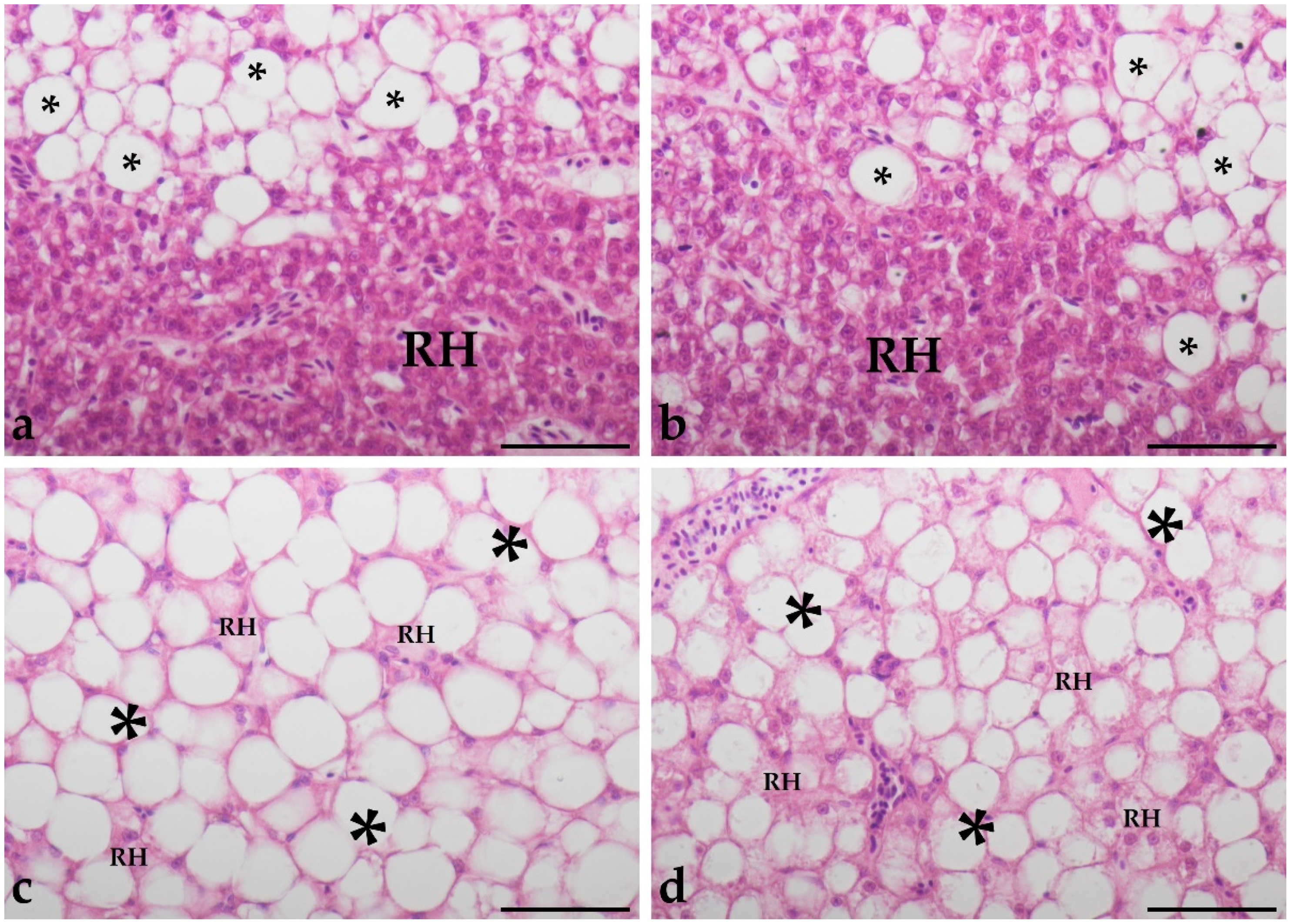 Animals 11 03520 g001