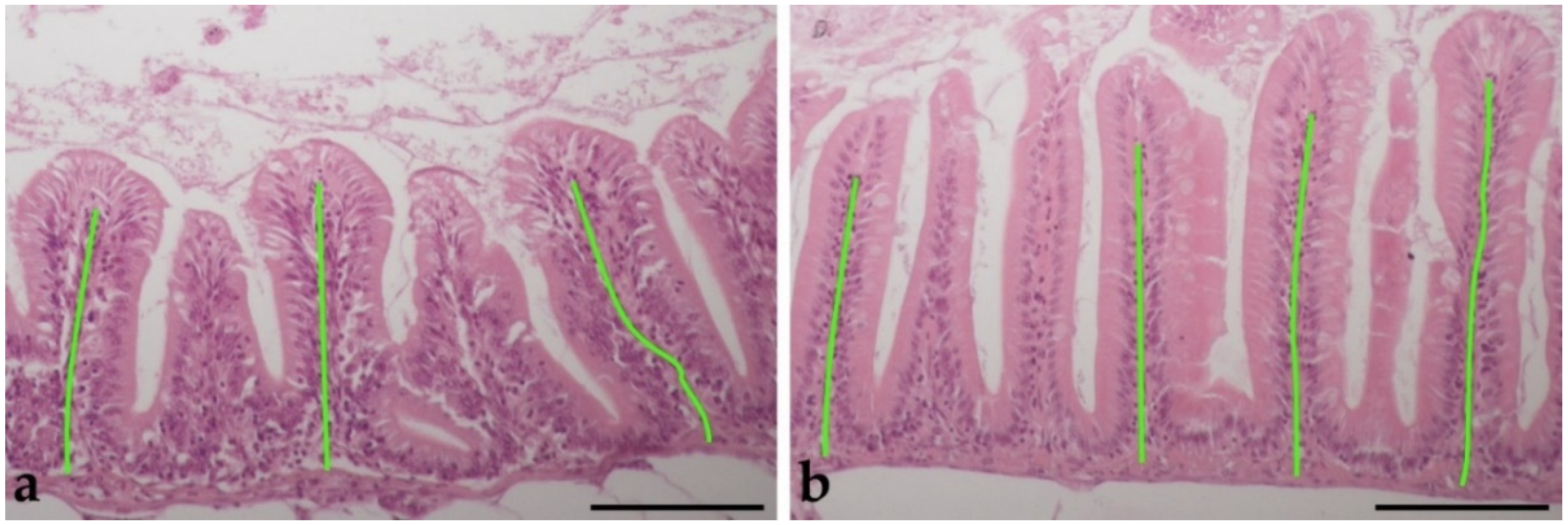 Animals 11 03520 g003