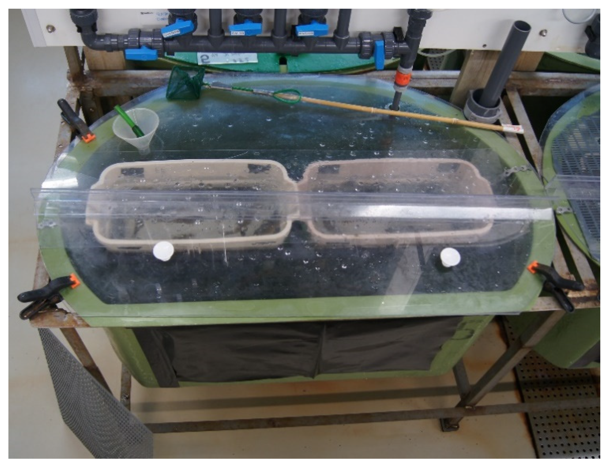 Animals 11 03523 g001