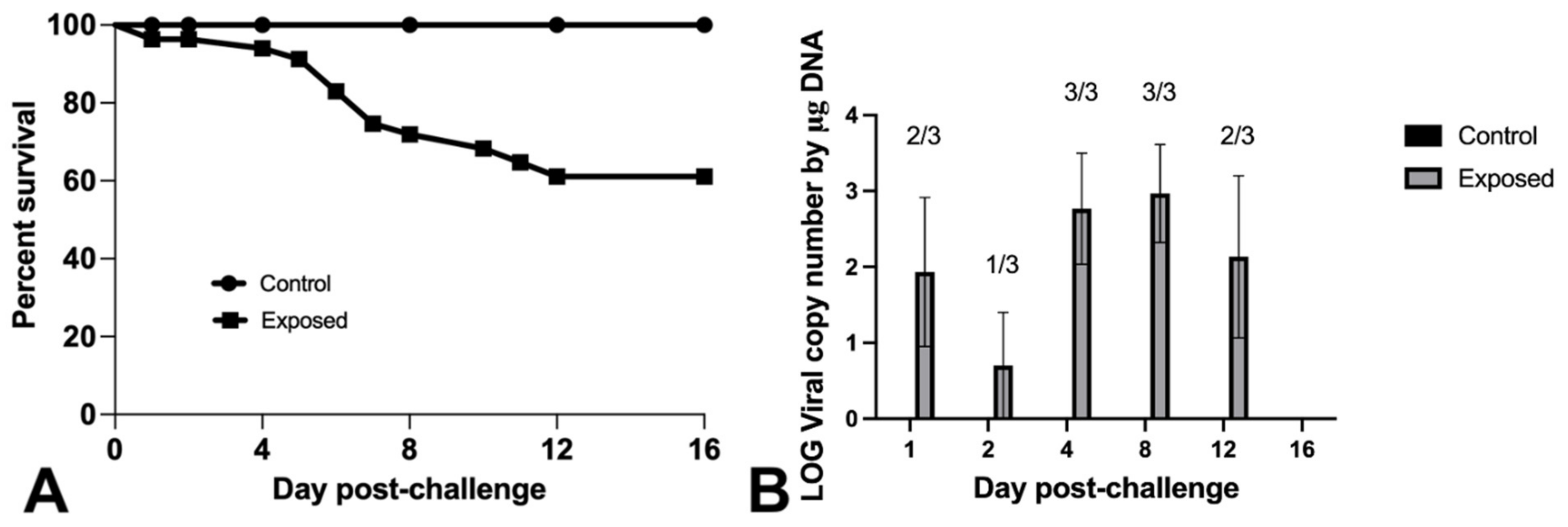 Animals 11 03524 g004