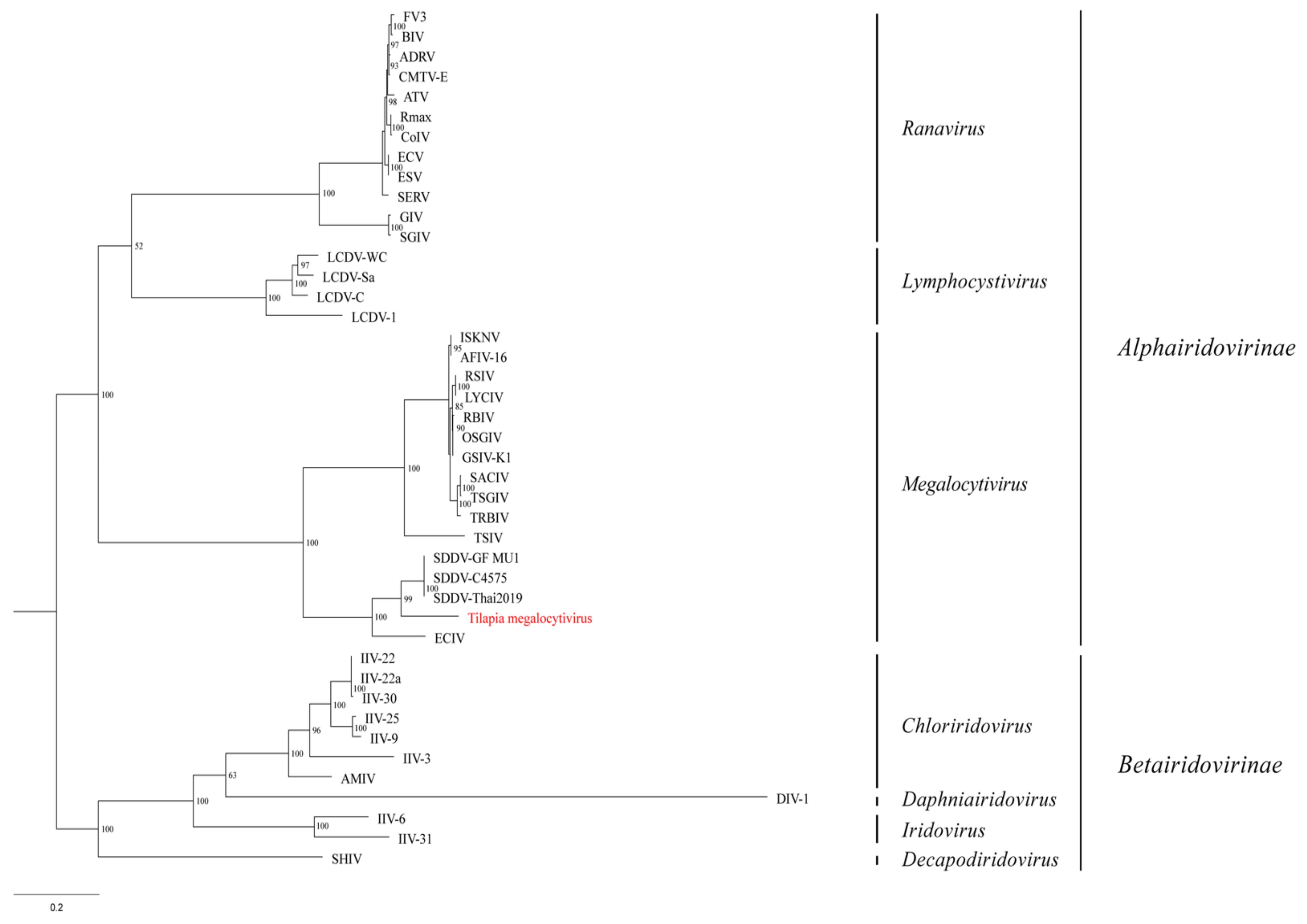 Animals 11 03524 g006