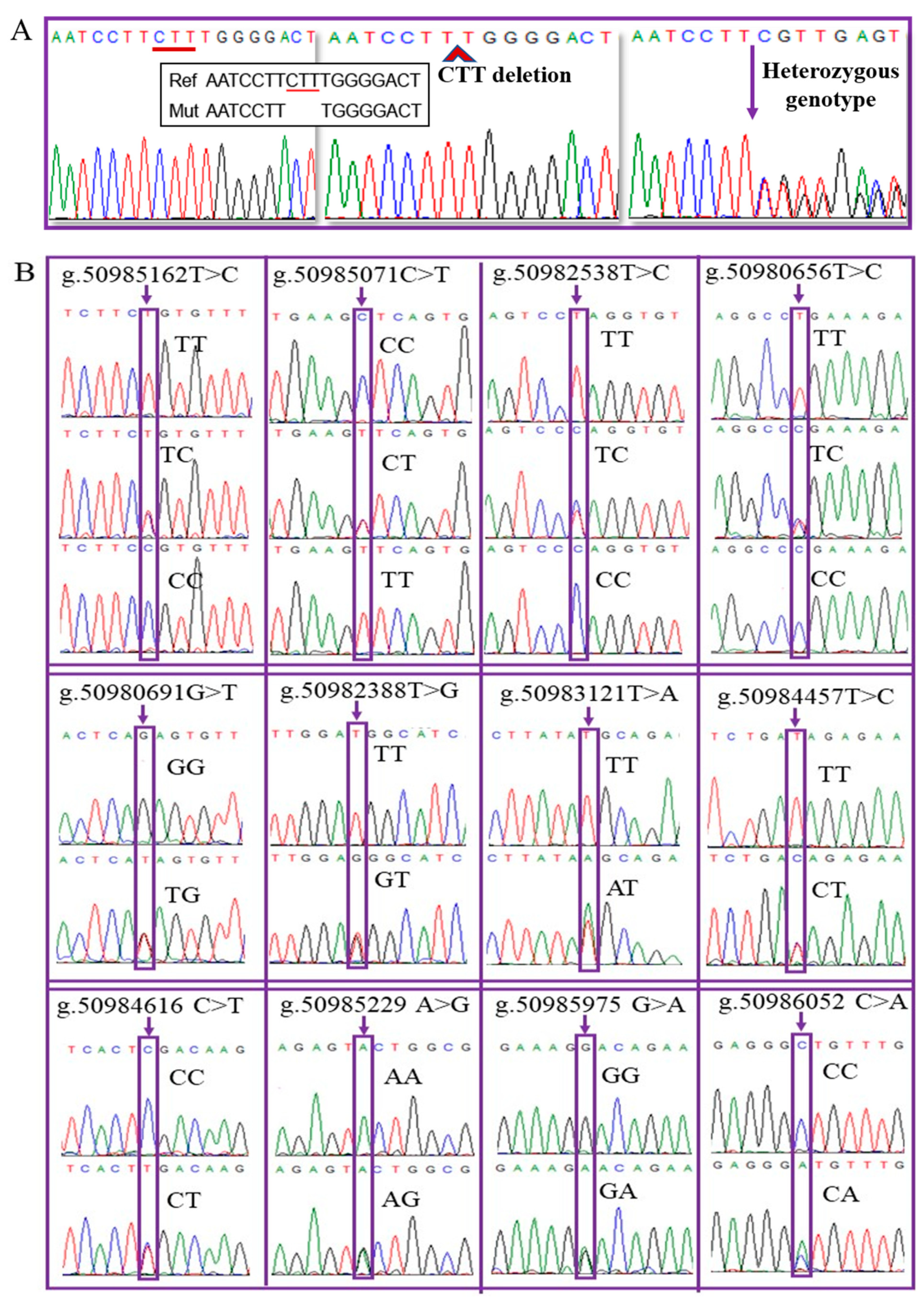 Animals 11 03528 g001