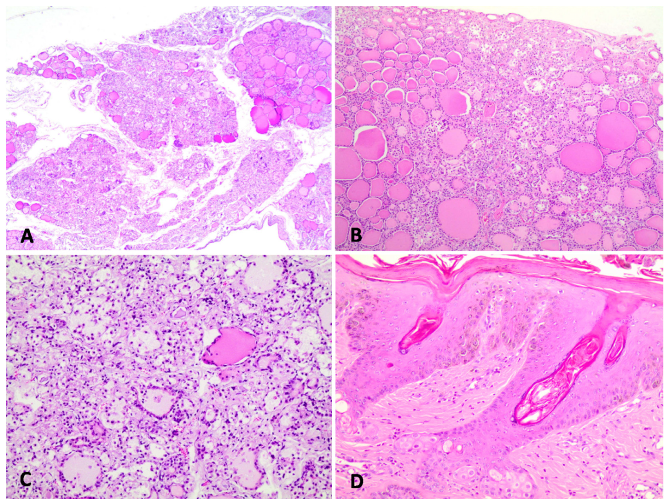 Animals 11 03530 g002 Animals 11 03530 g002