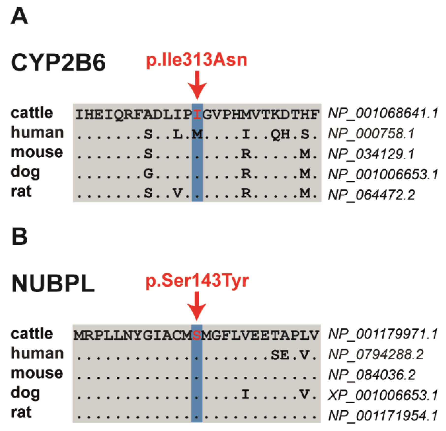 Animals 11 03535 g002