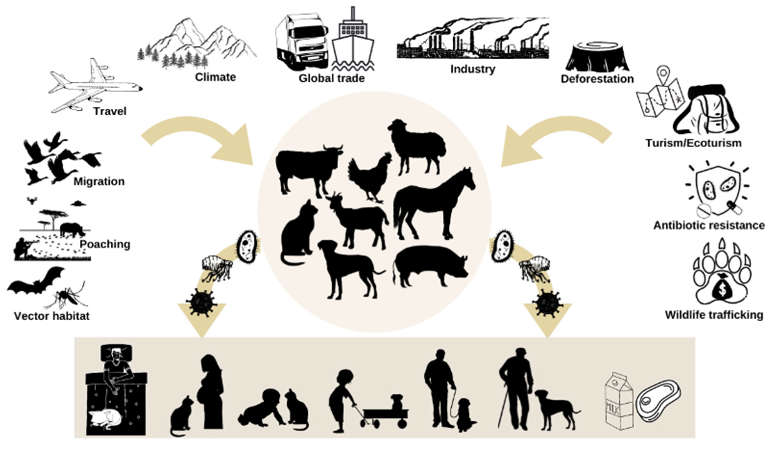 Animals 11 03543 g001