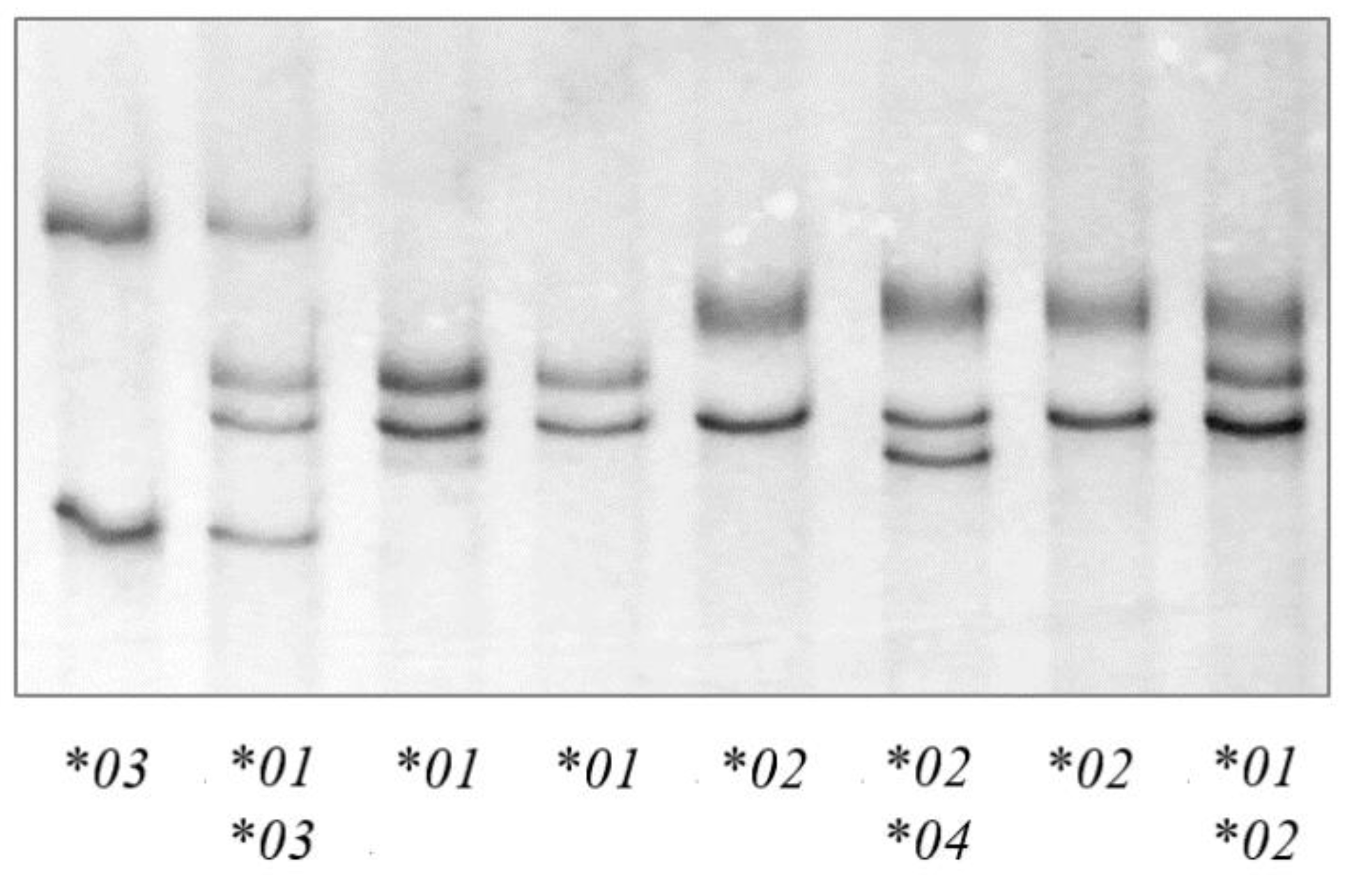 Animals 11 03549 g001