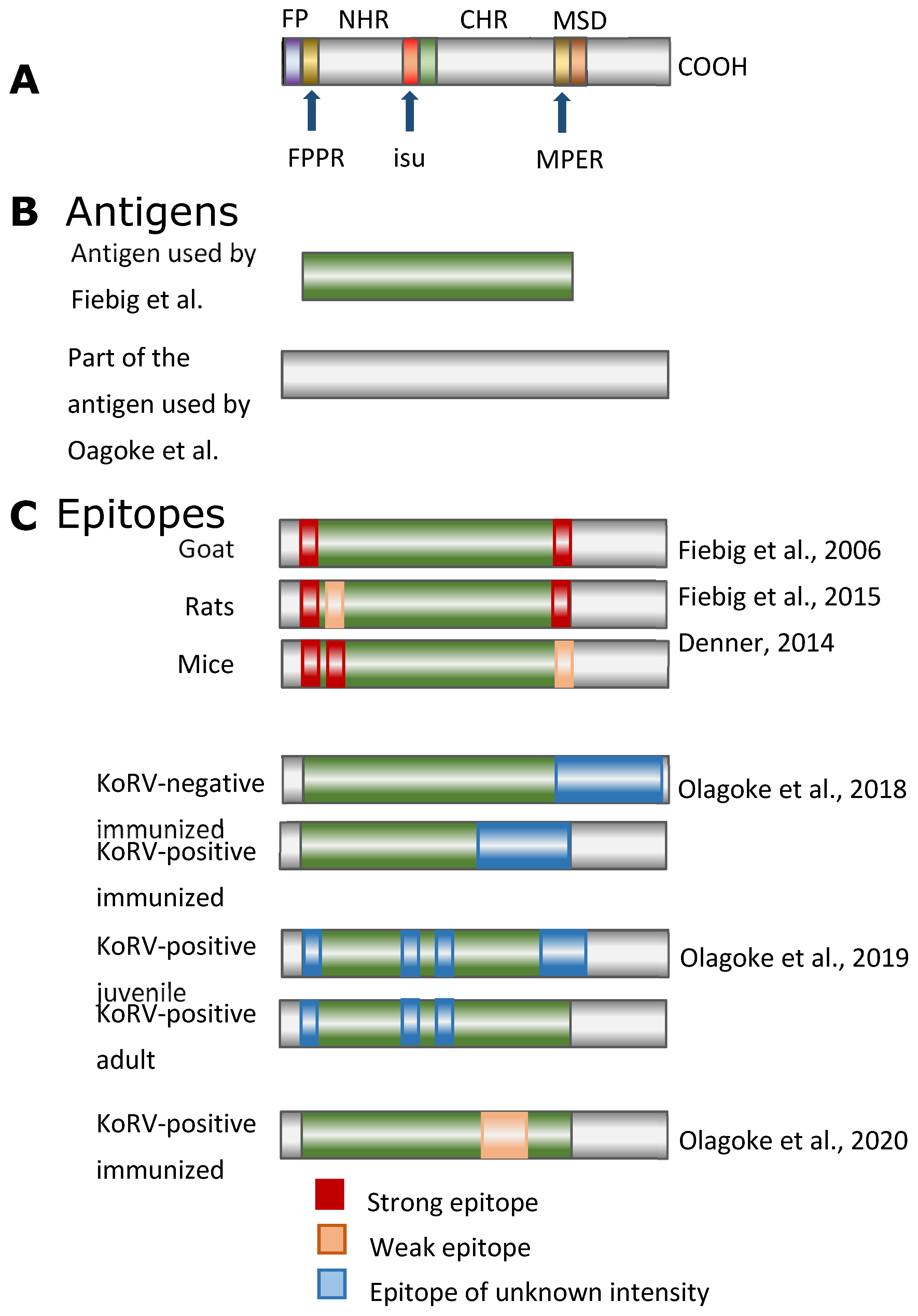 Animals 11 03555 g002