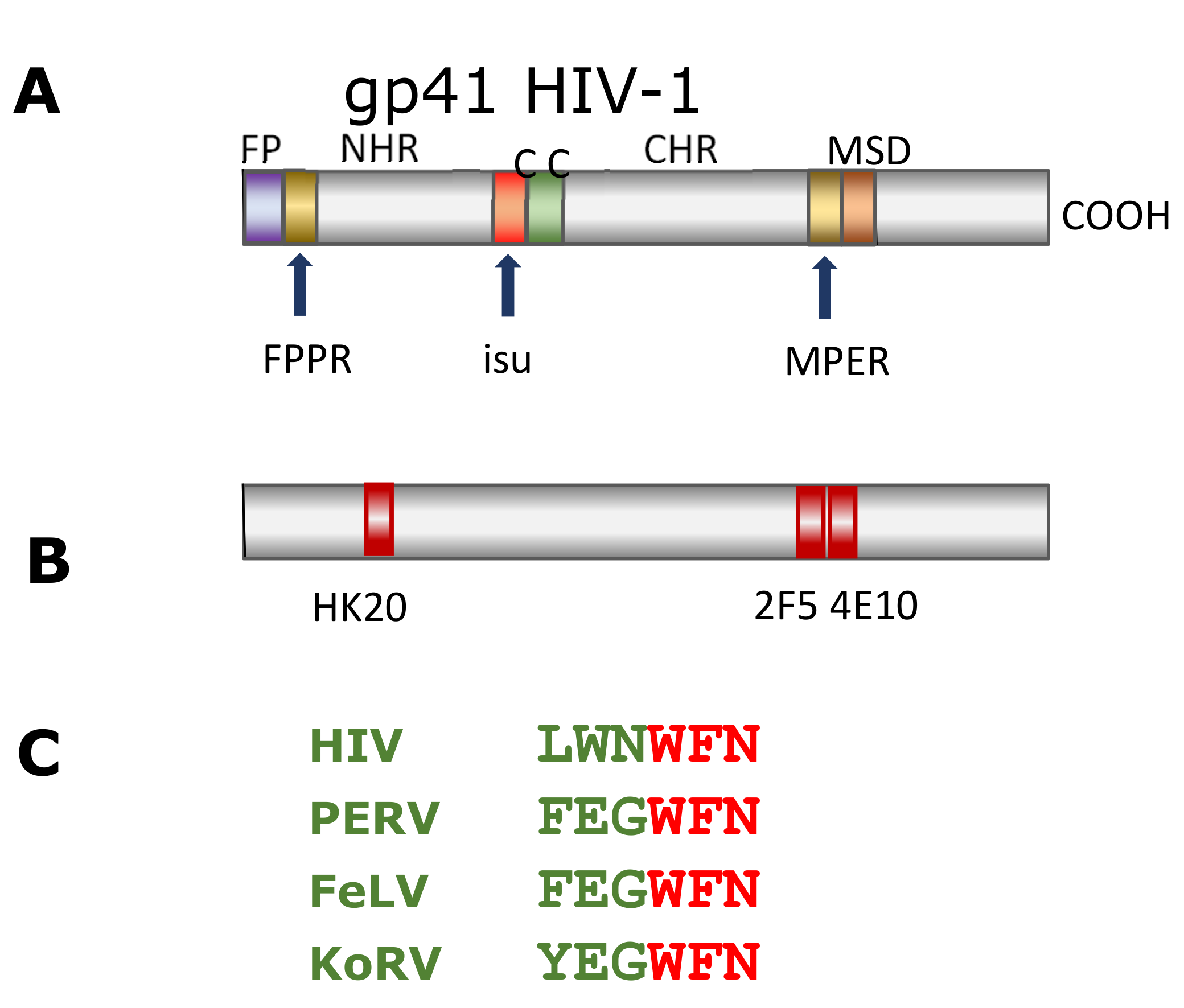 Animals 11 03555 g004