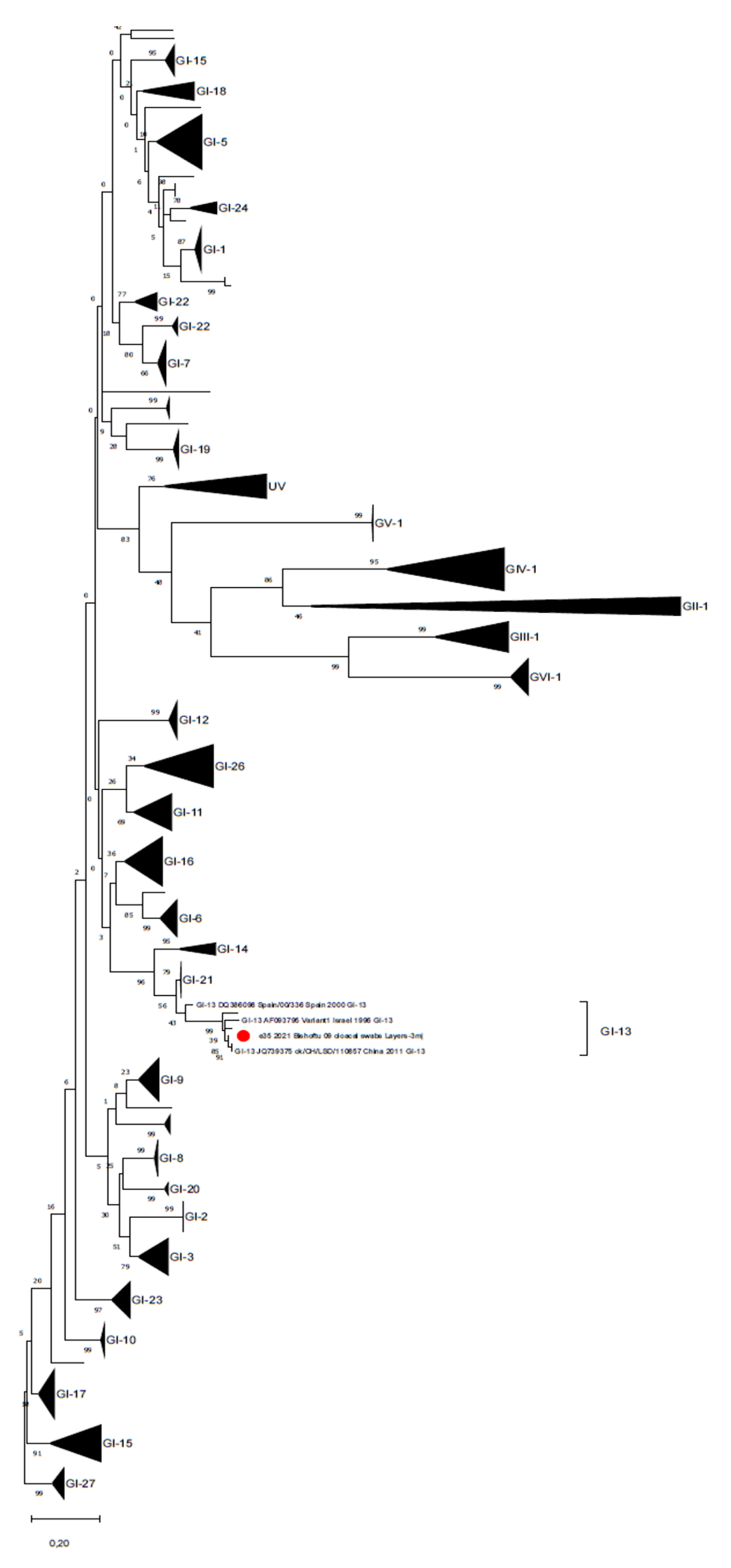 Animals 11 03564 g001