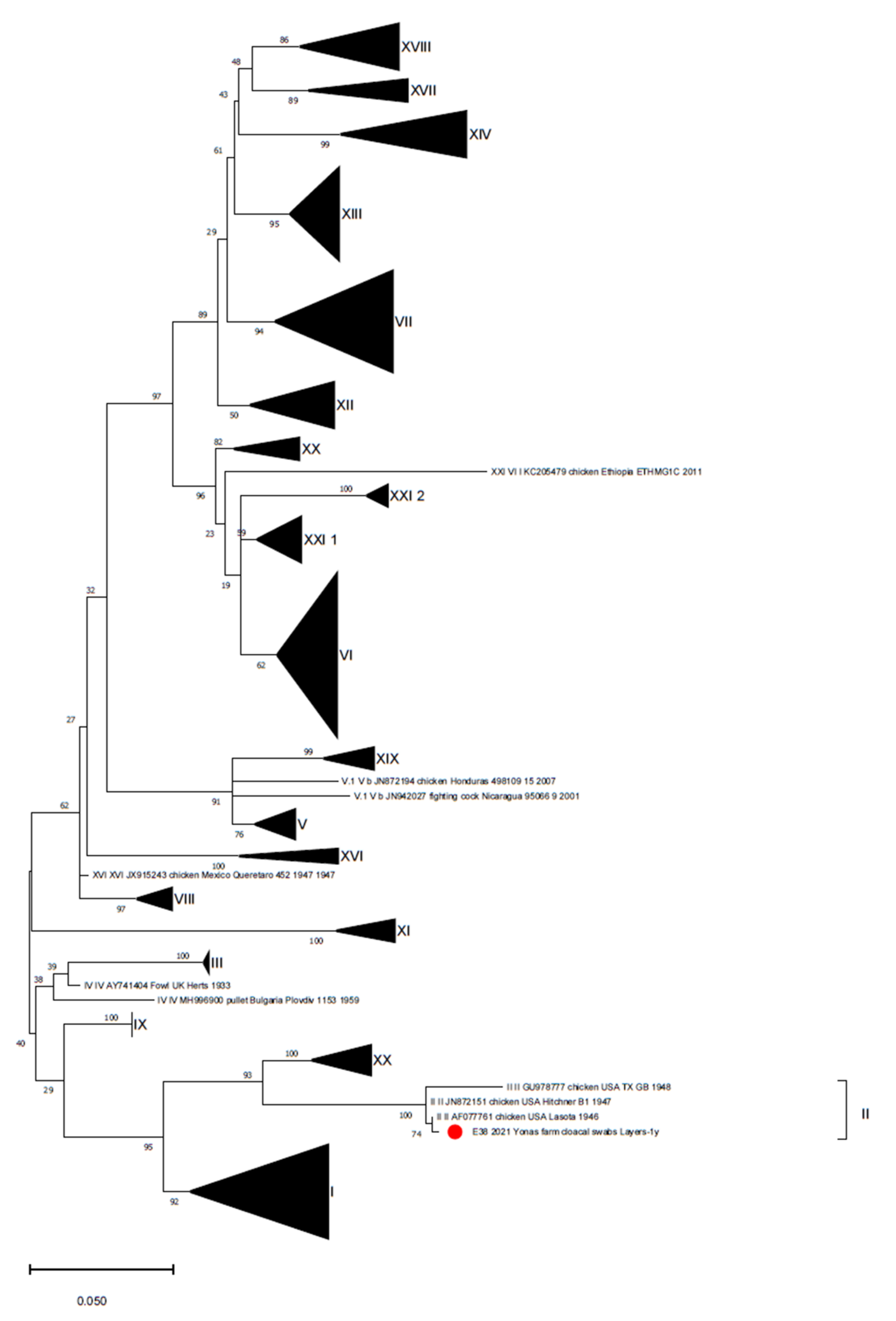 Animals 11 03564 g002