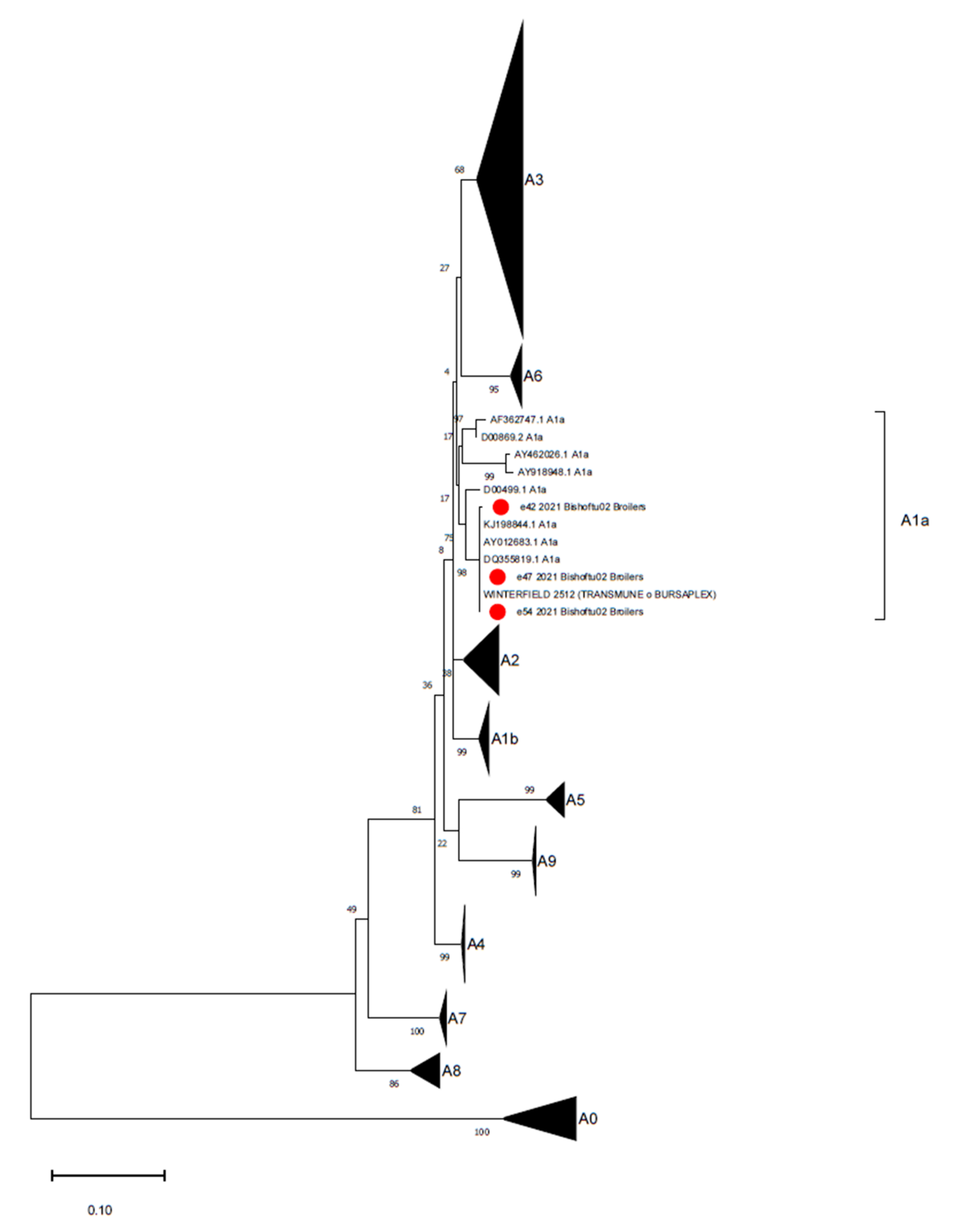 Animals 11 03564 g003