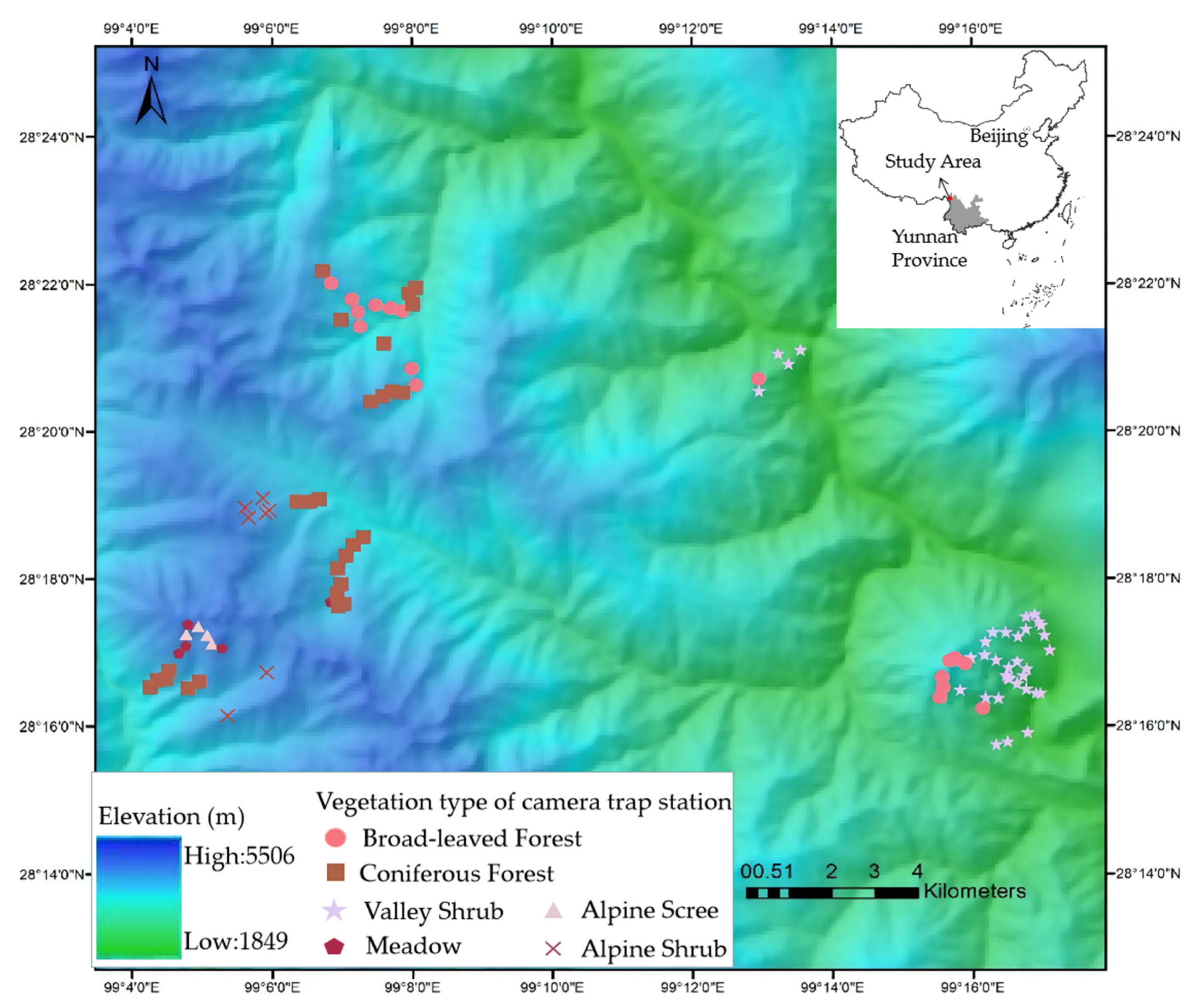 Animals 11 03565 g001