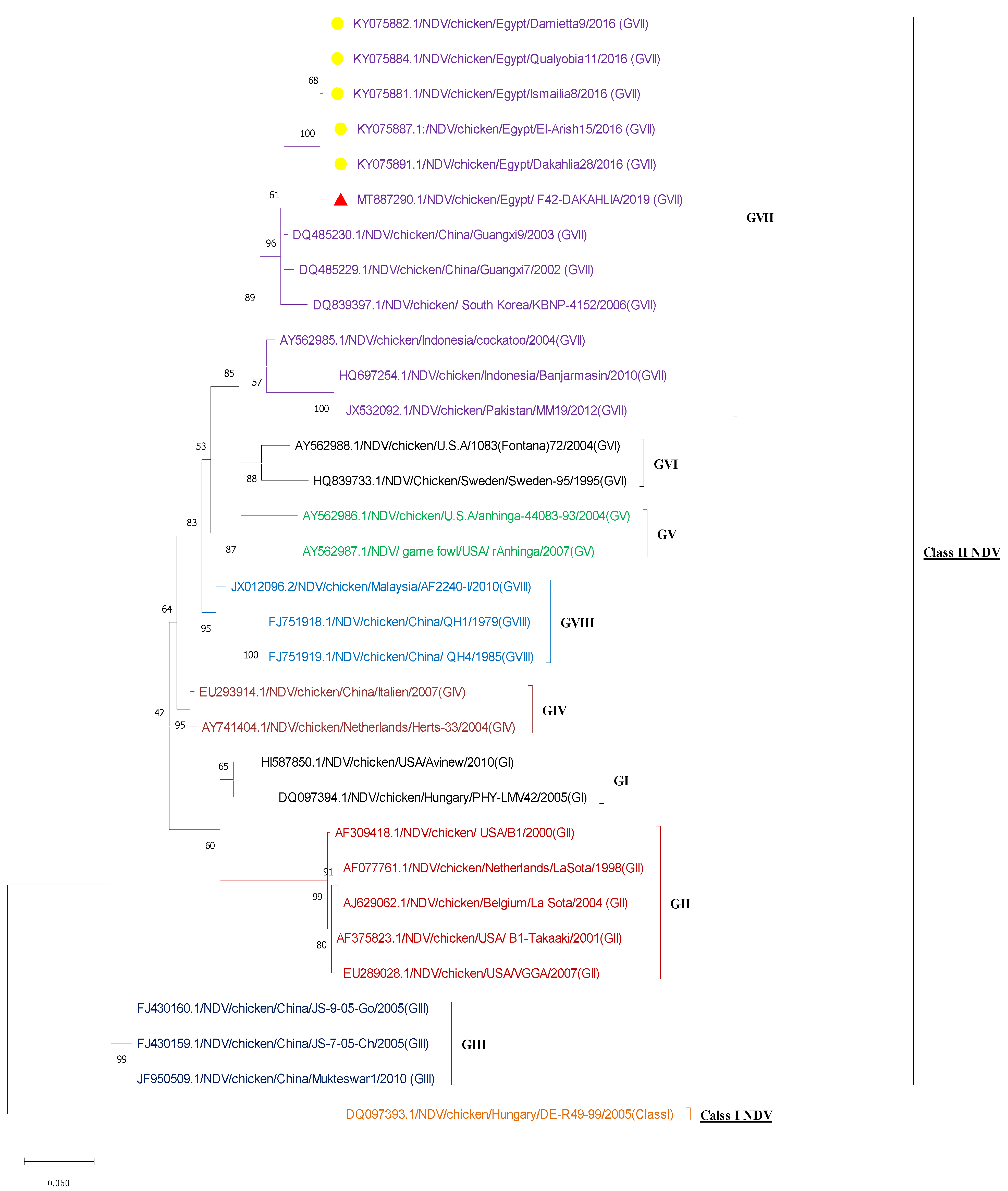 Animals 11 03567 g002