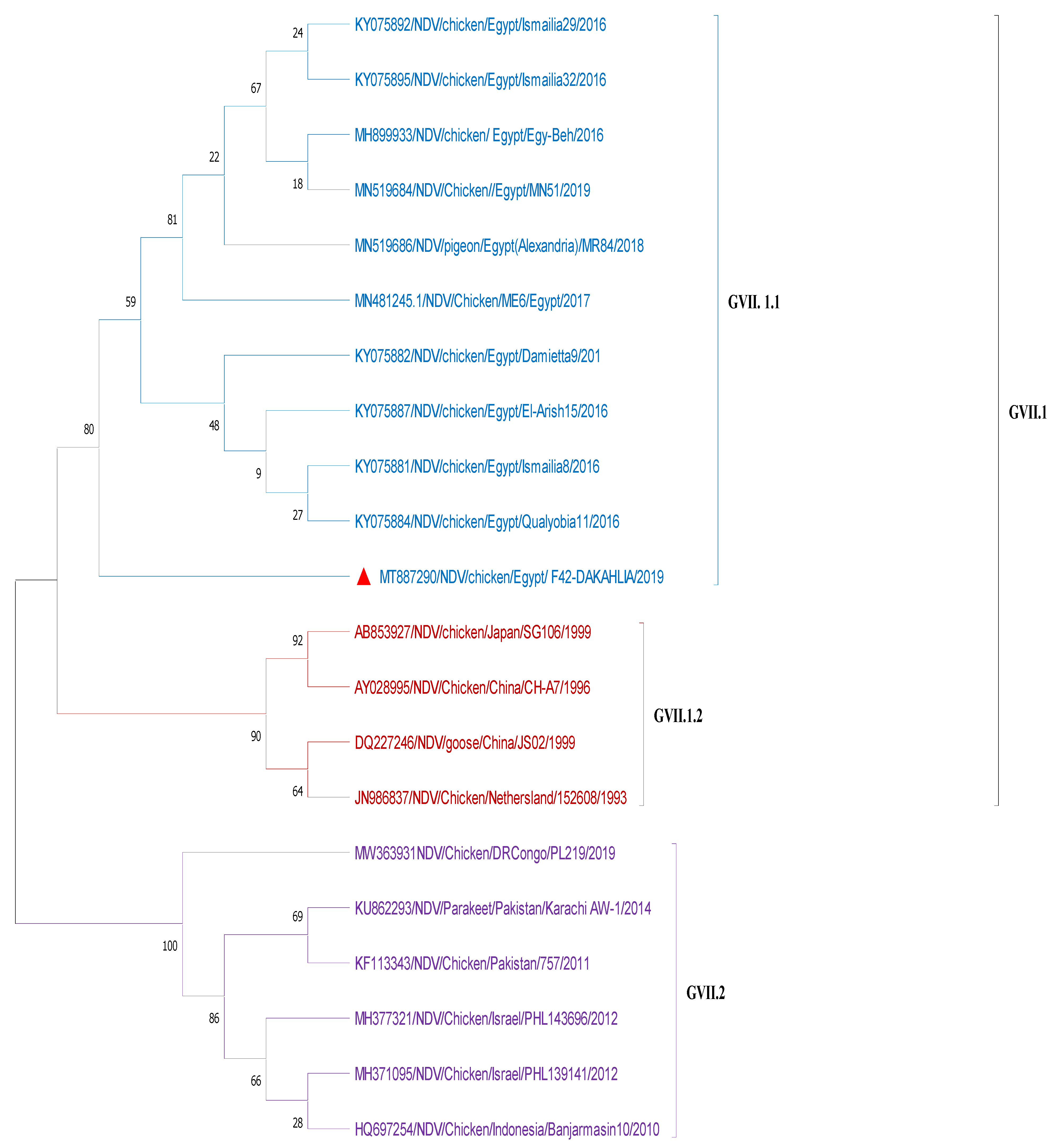 Animals 11 03567 g003