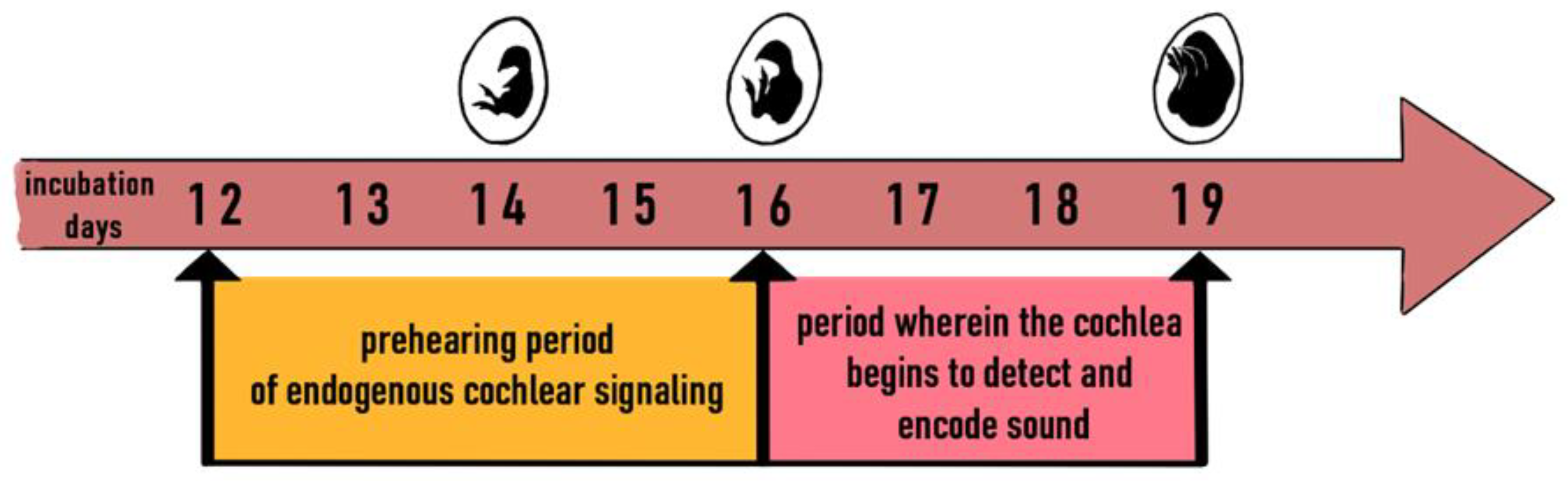 Animals 11 03572 g004 Animals 11 03572 g004