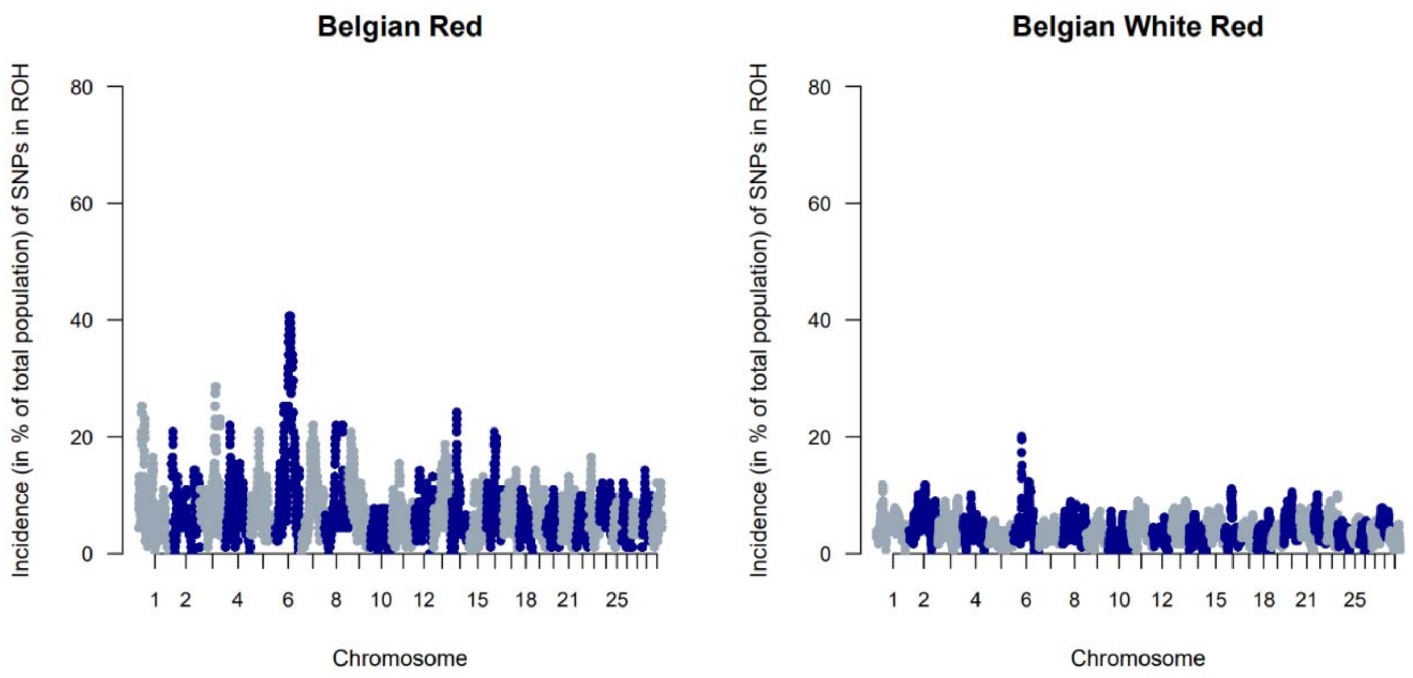 Animals 11 03574 g001