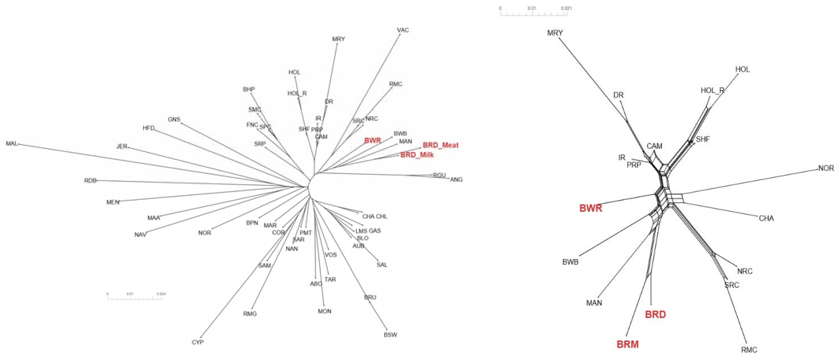 Animals 11 03574 g003
