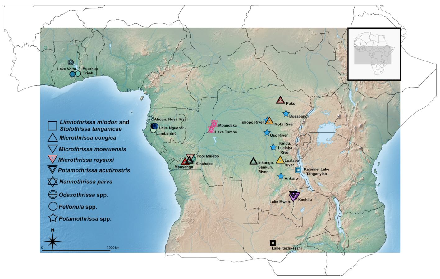 Animals 11 03578 g001