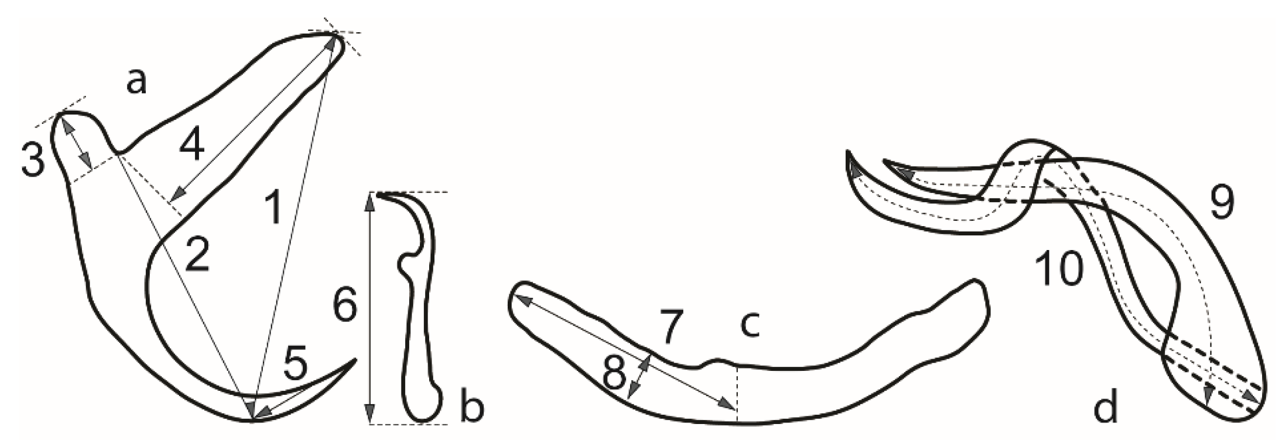 Animals 11 03578 g002