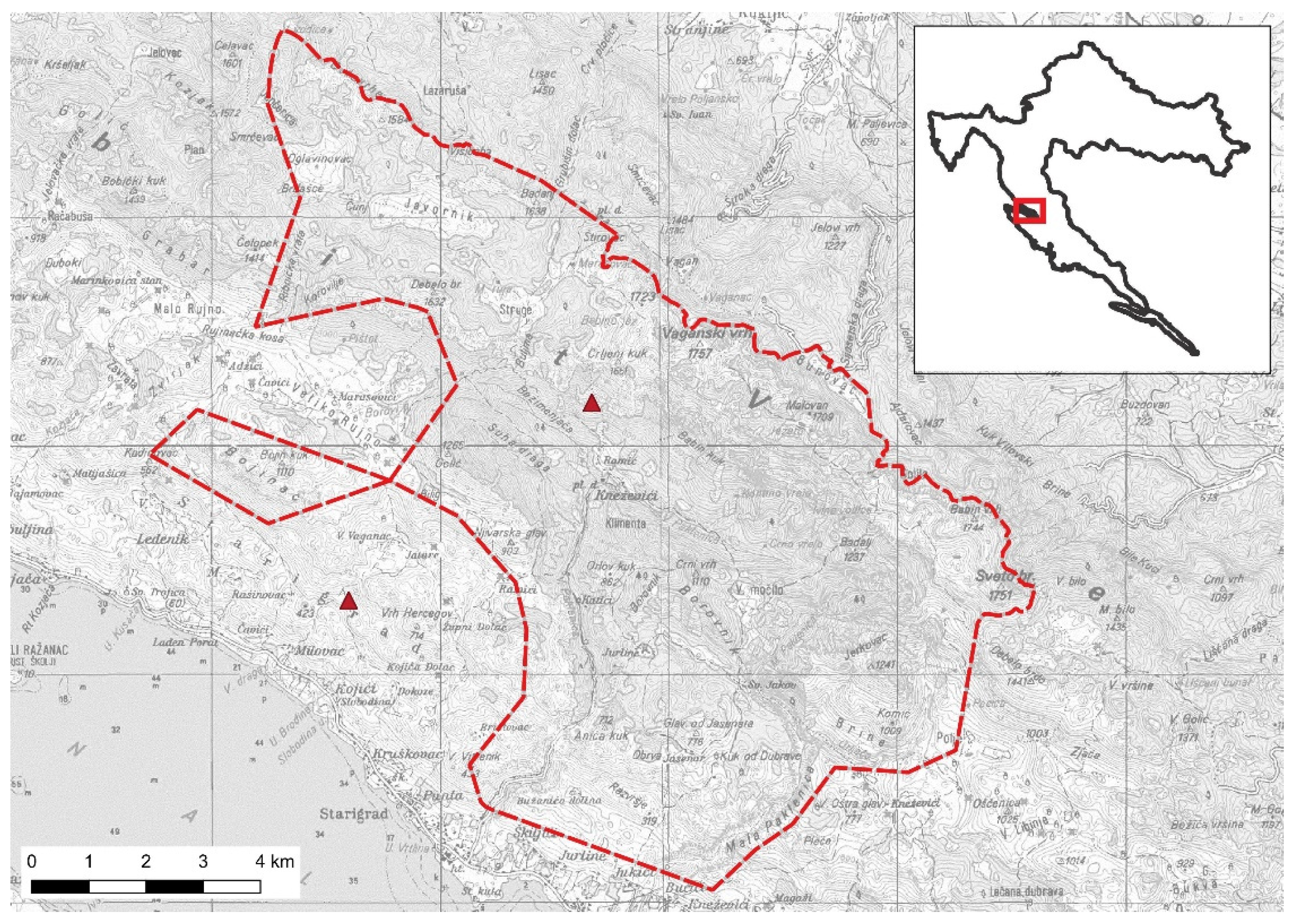 Animals 11 03580 g001