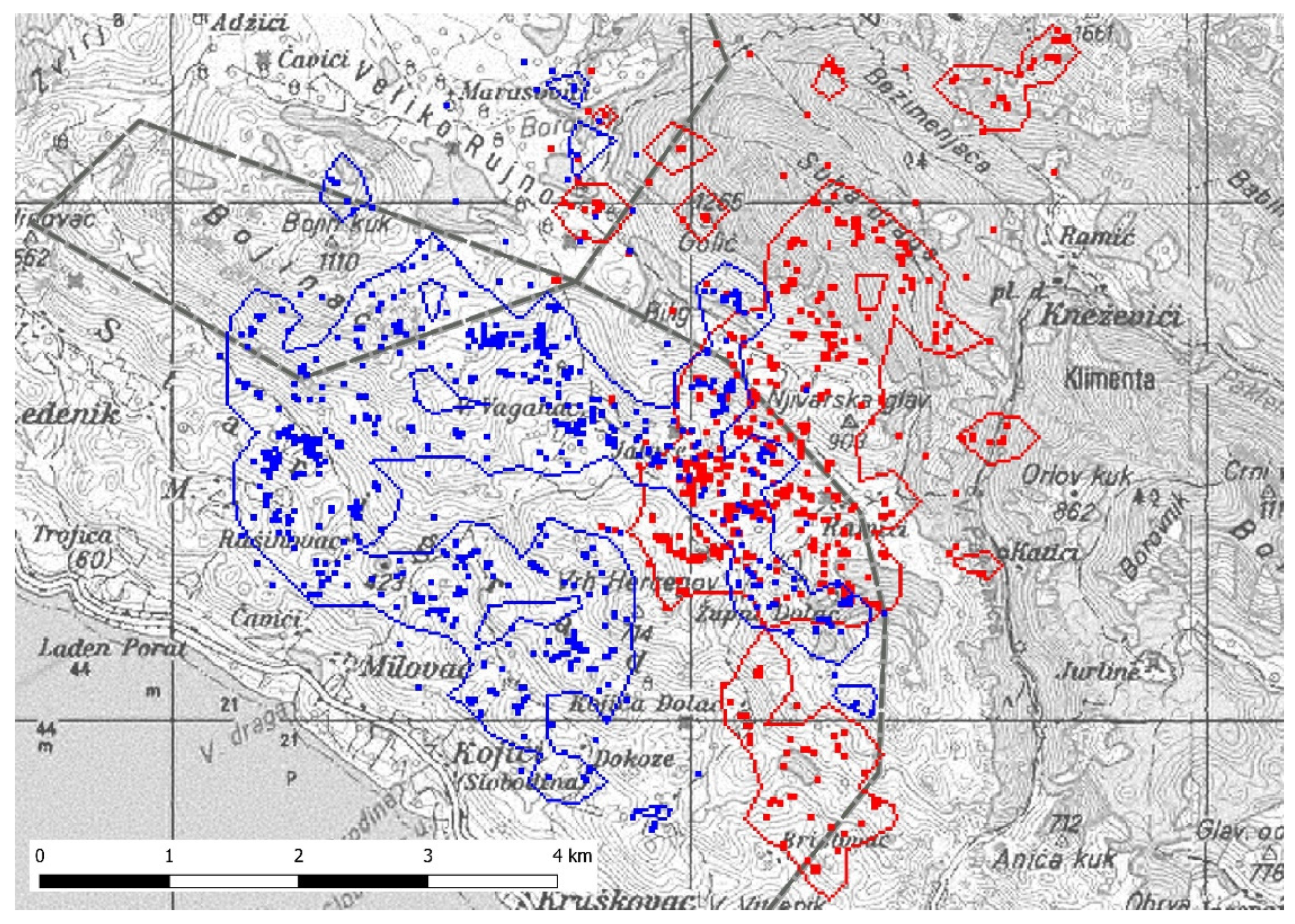 Animals 11 03580 g002