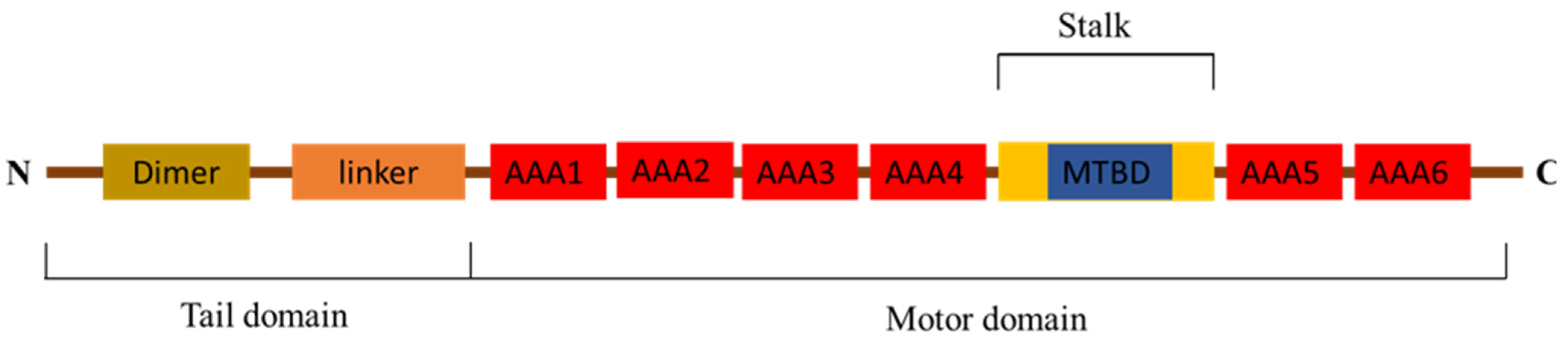 Animals 11 03582 g001