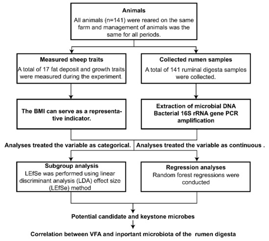 Animals 11 03584 g0a2 550