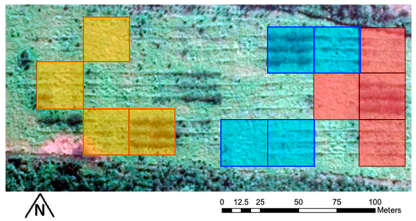 Animals 11 03585 g001