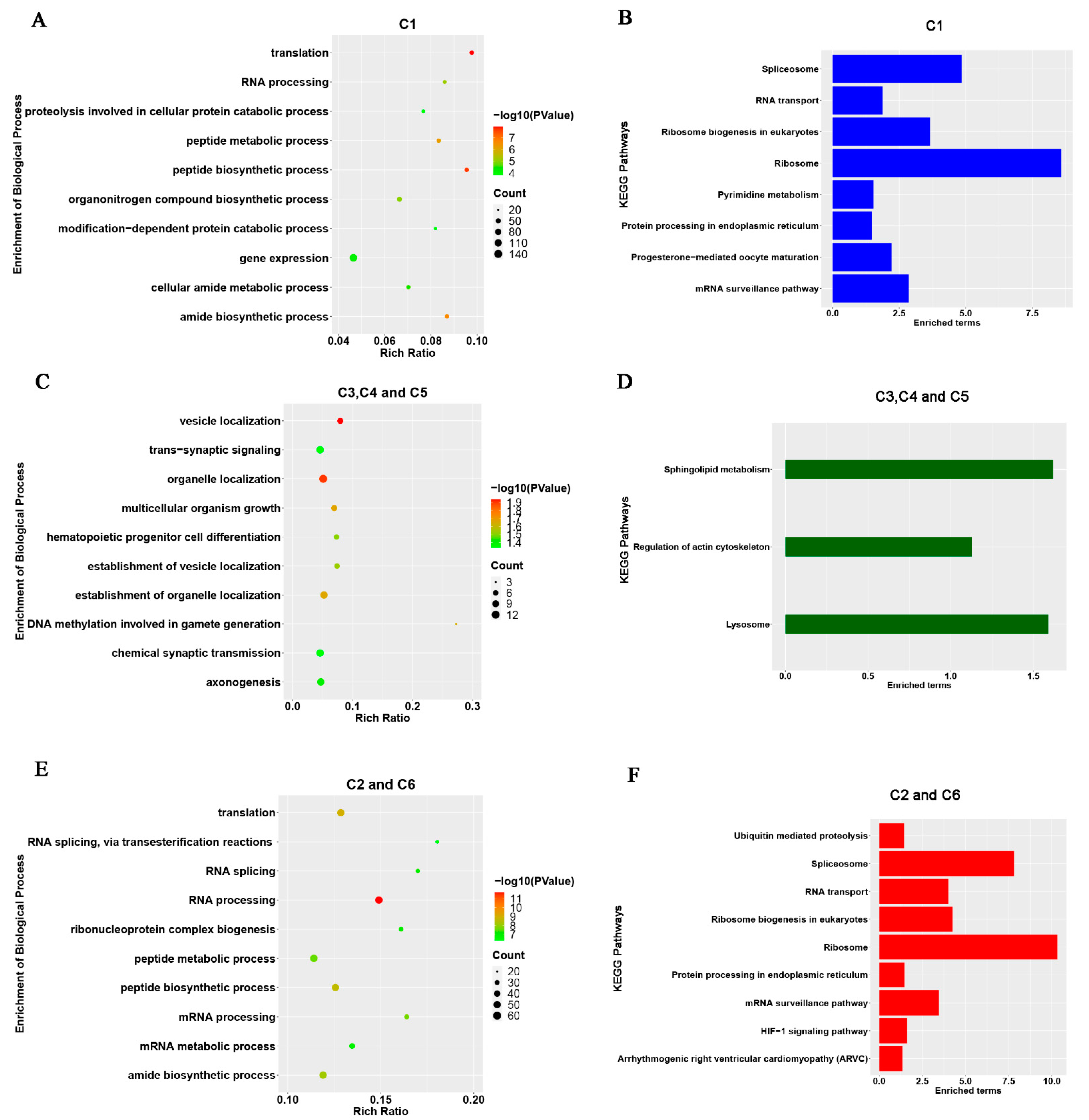 Animals 11 03592 g002