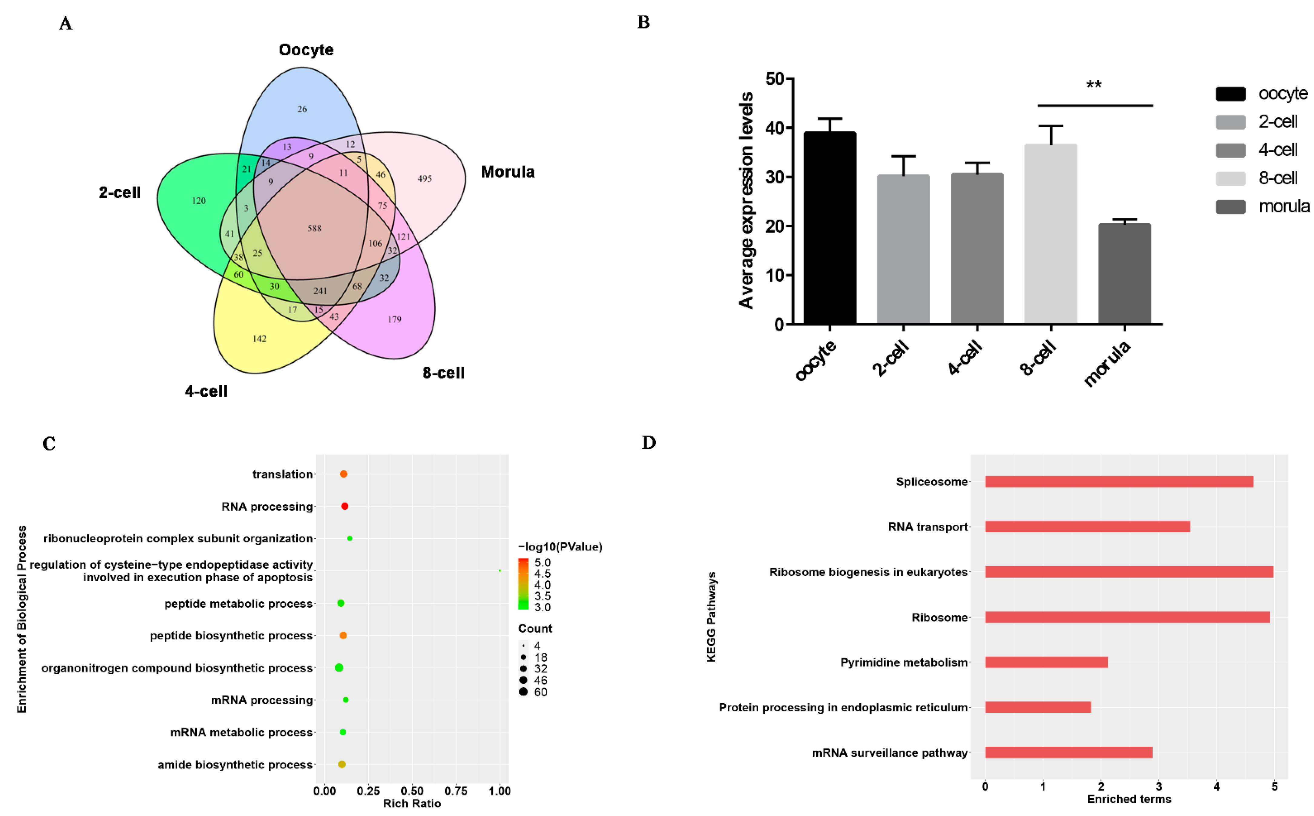 Animals 11 03592 g003