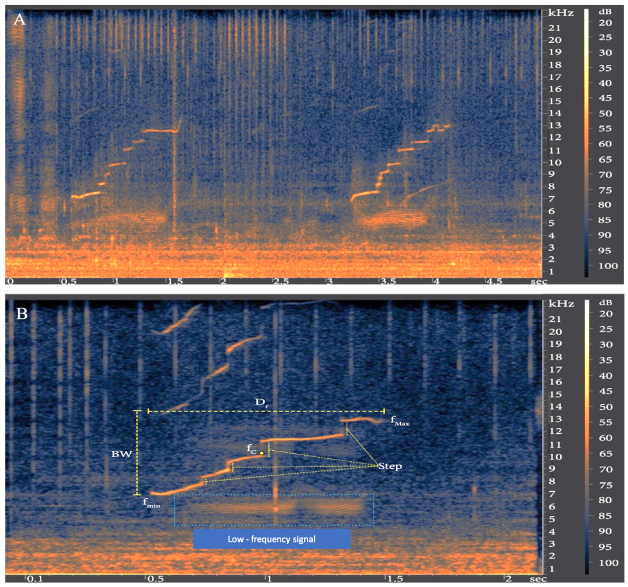 Animals 11 03593 g002