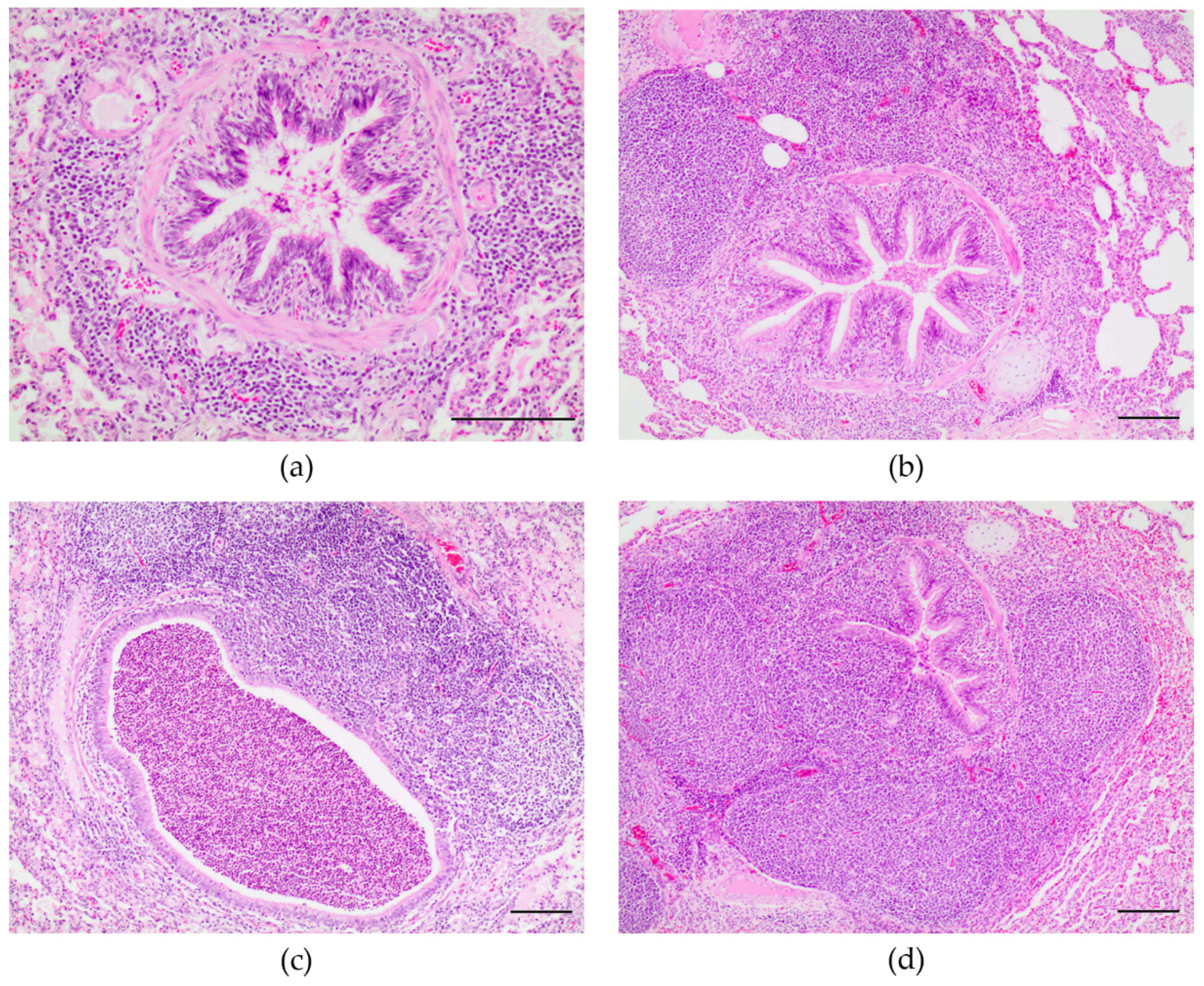 Animals 11 03604 g002