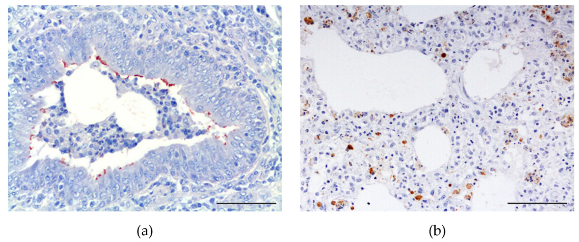 Animals 11 03604 g003