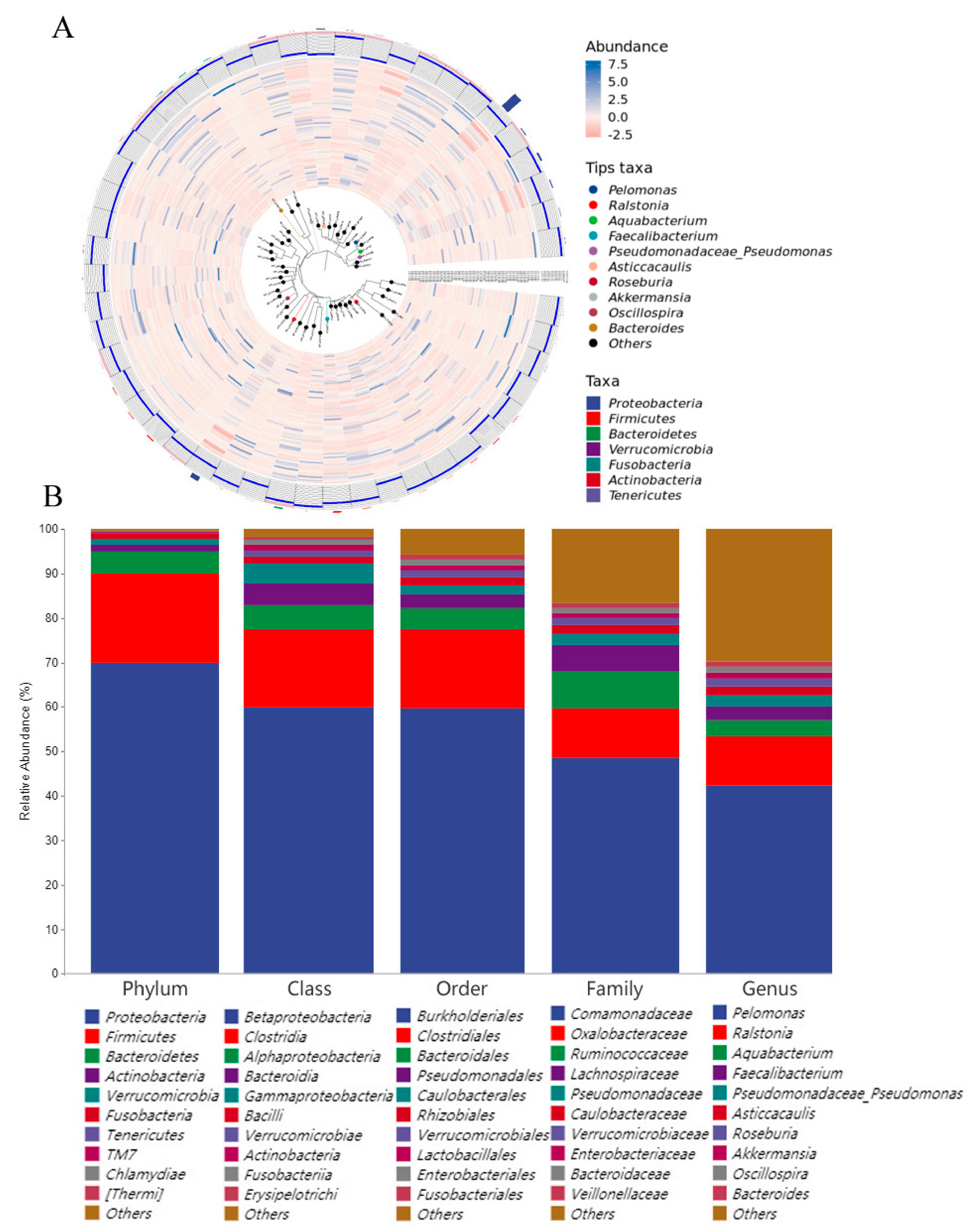 Animals 12 00016 g001