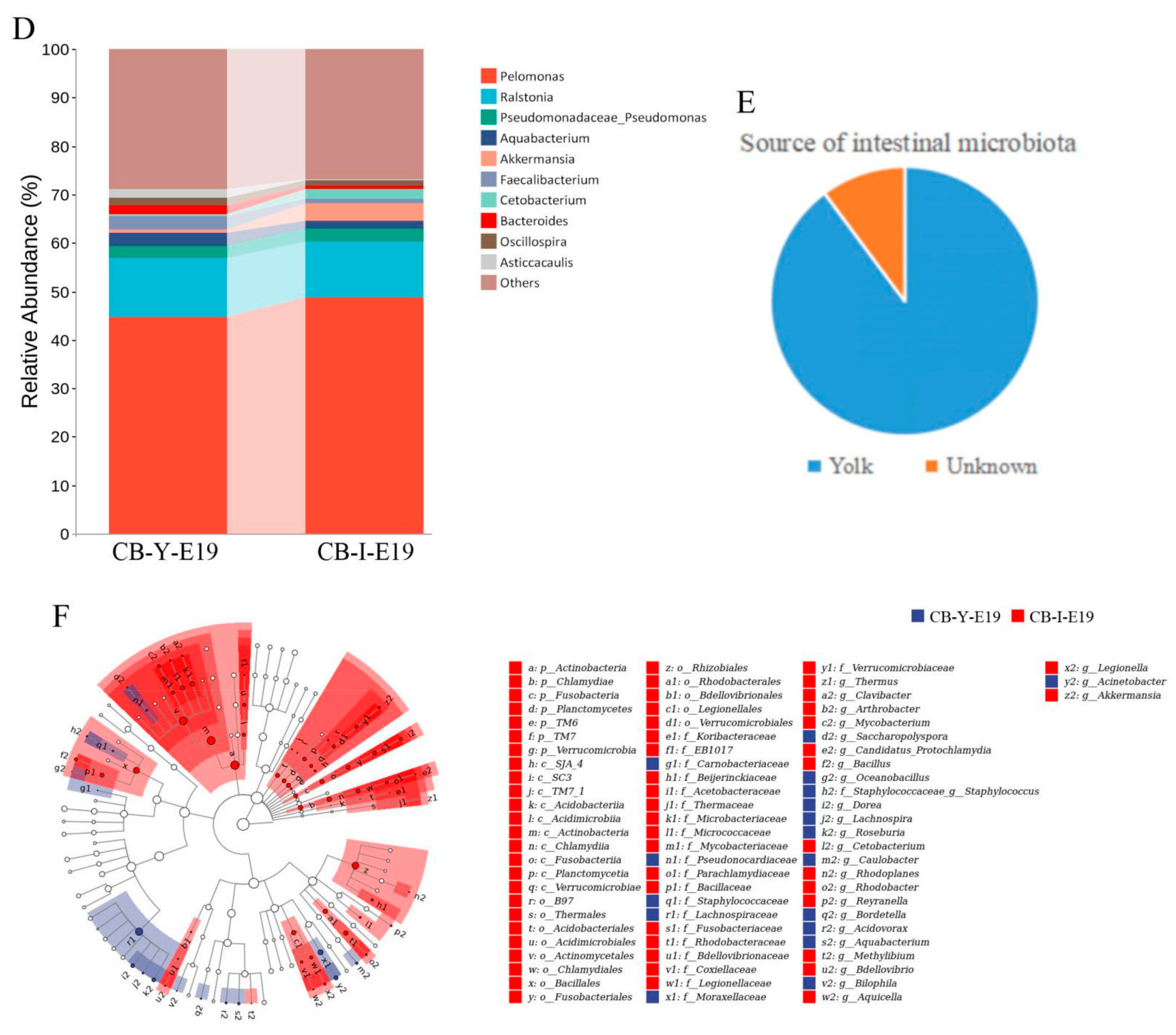 Animals 12 00016 g004b