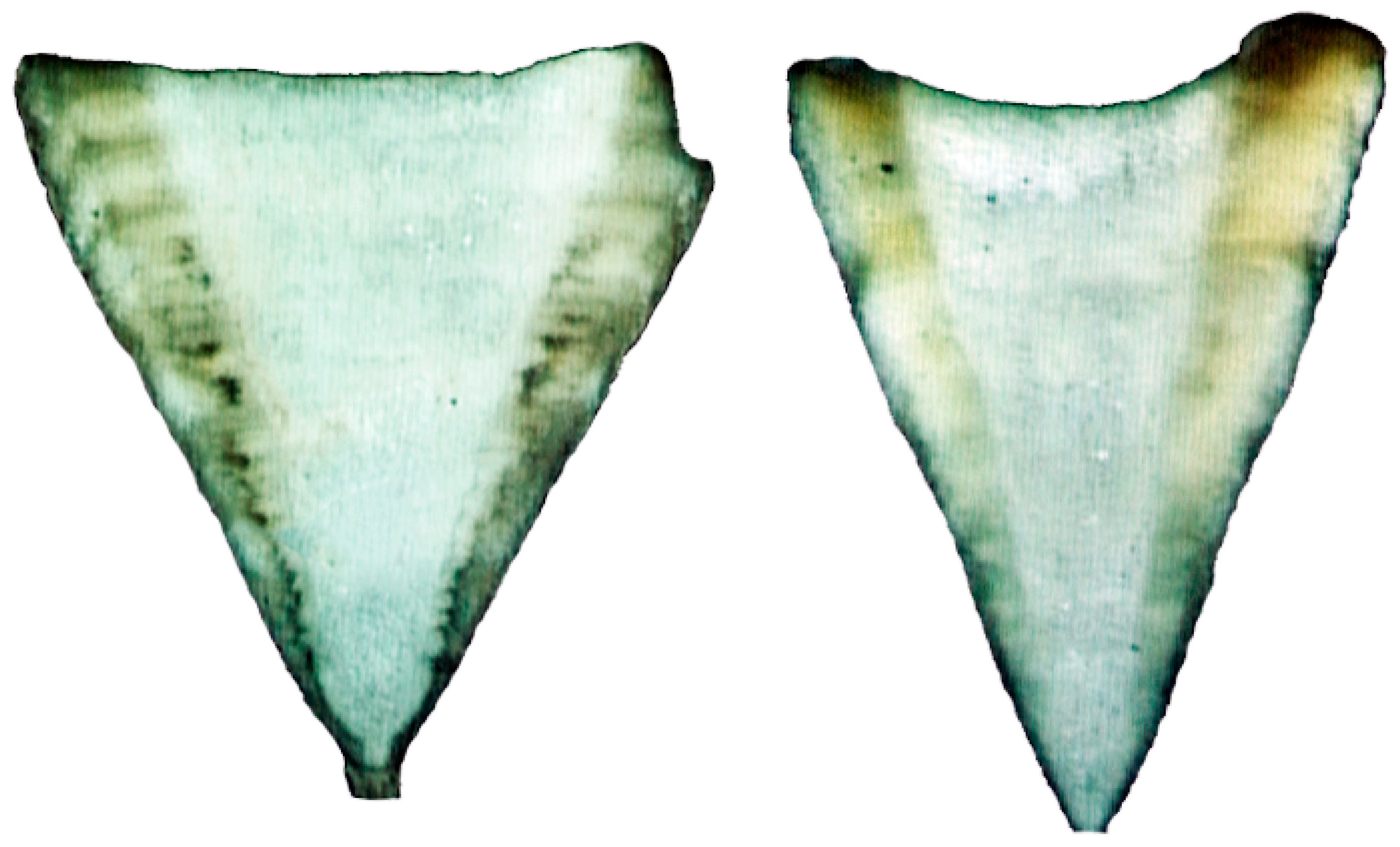 Animals 12 00019 g002