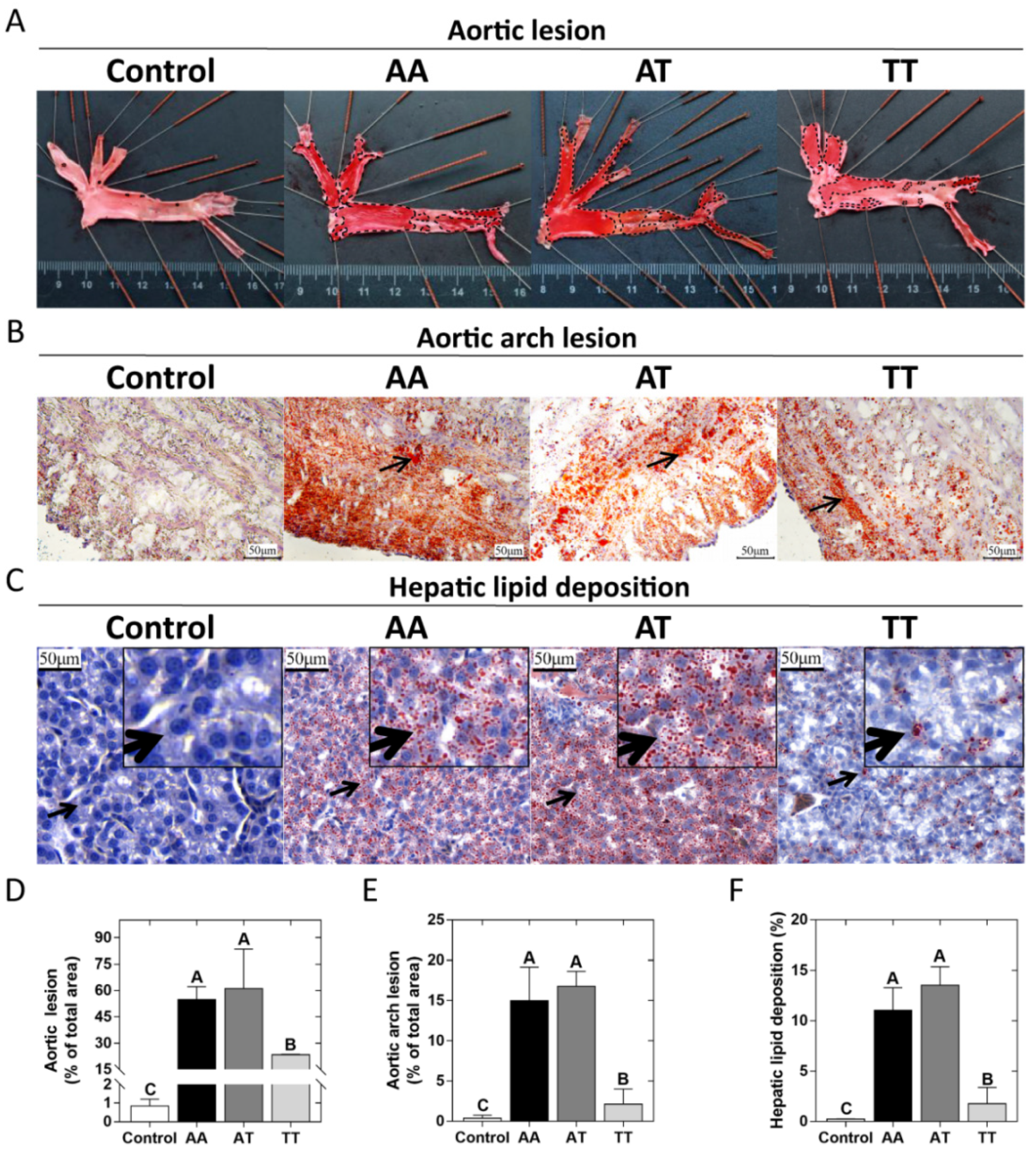 Animals 12 00048 g001